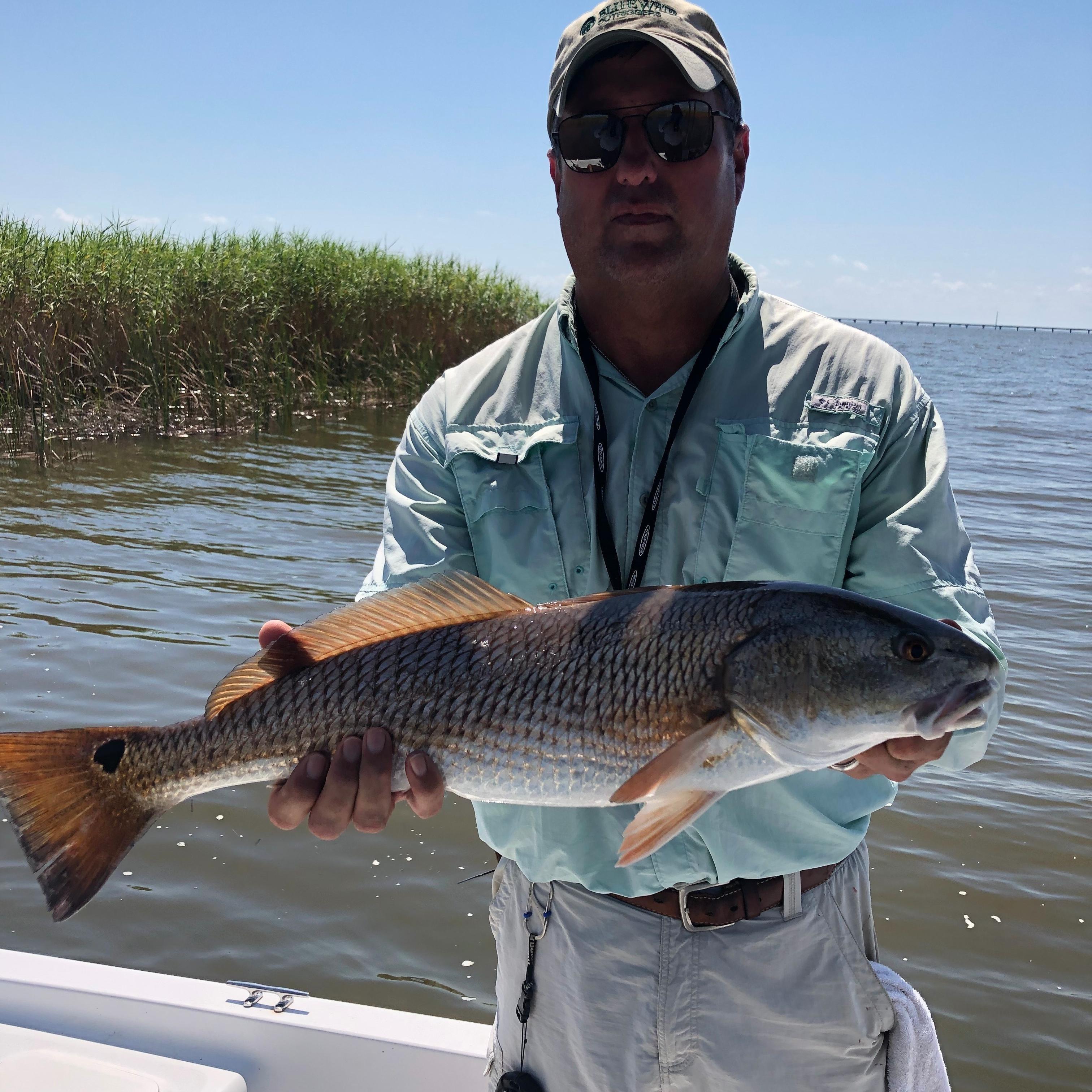 Shallow Seas Charters