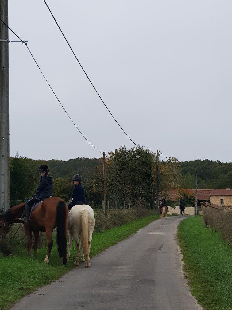Riding Club and Pony Club Forest Moulière