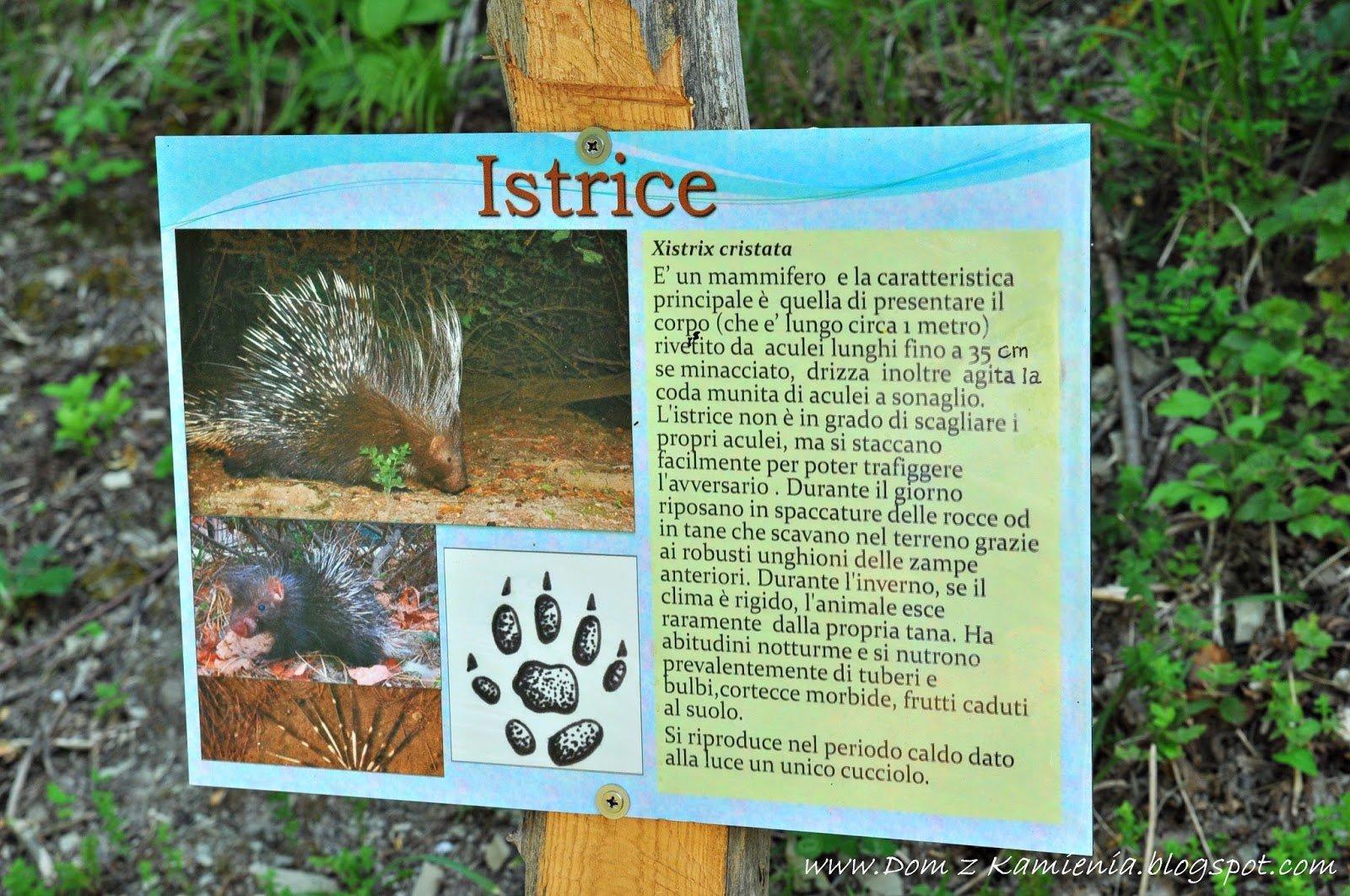 Il Sentiero nel Castagneto