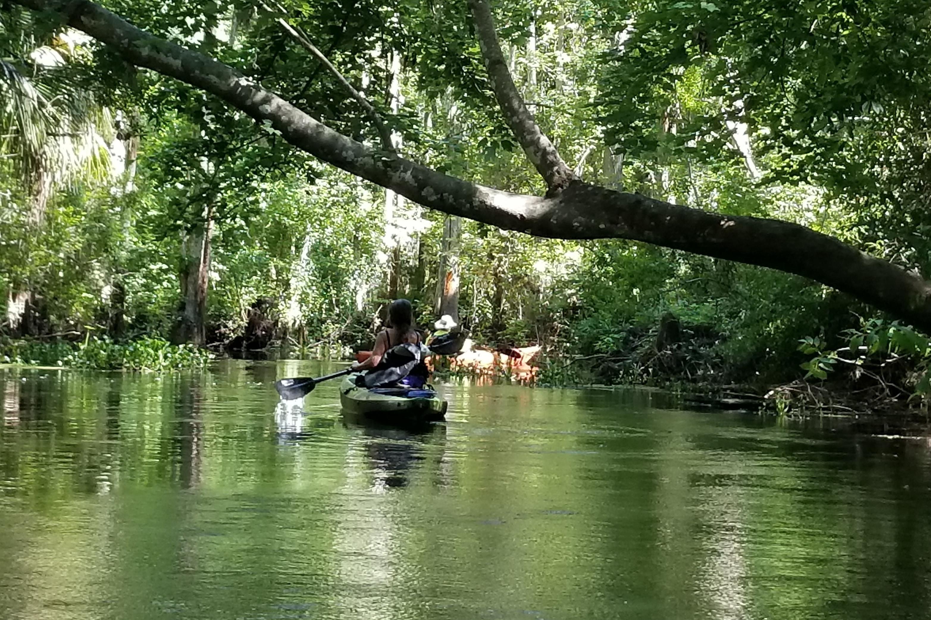 Florida Kayaking Tours and Adventures