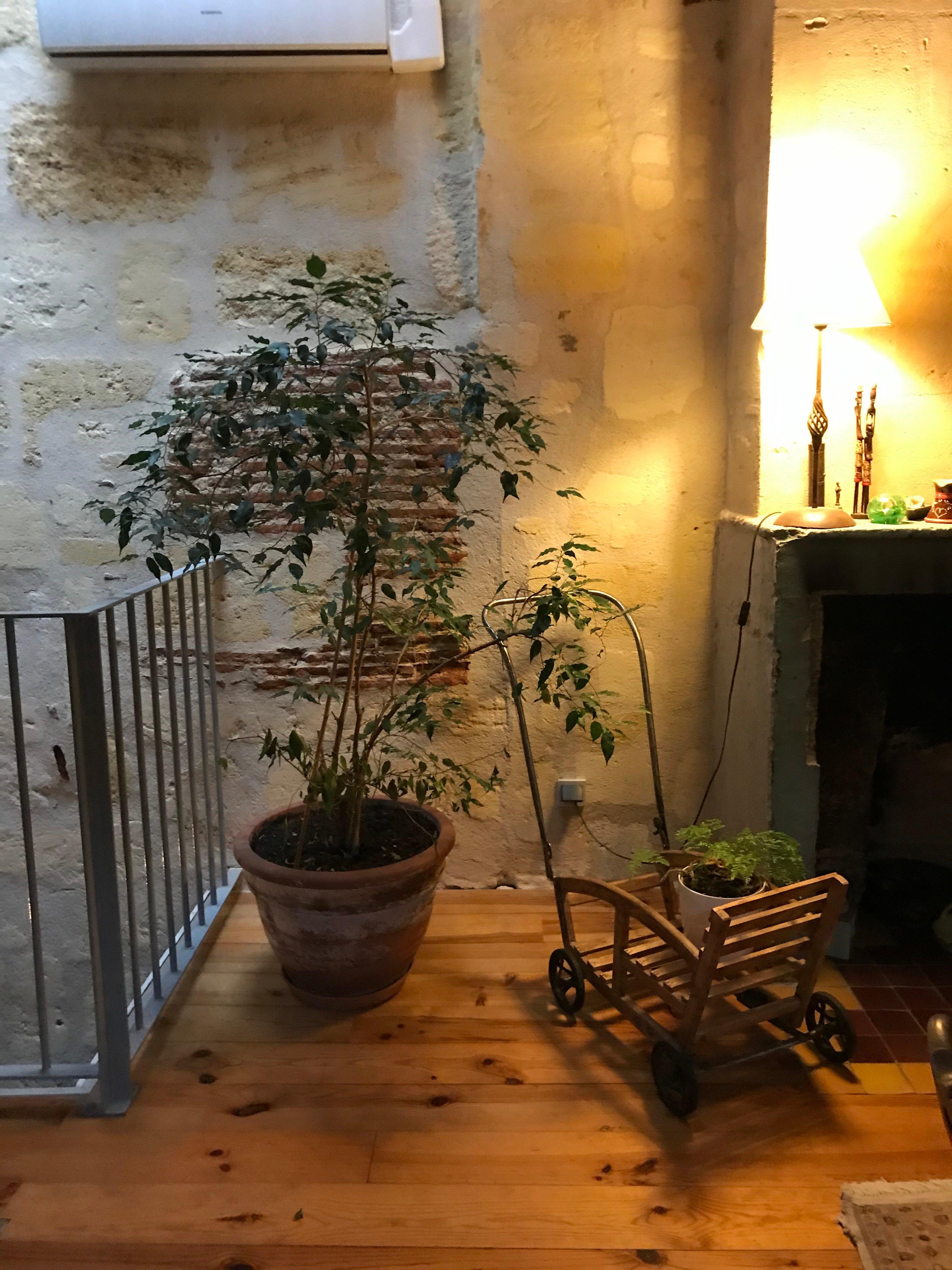 La Maison des Vignes