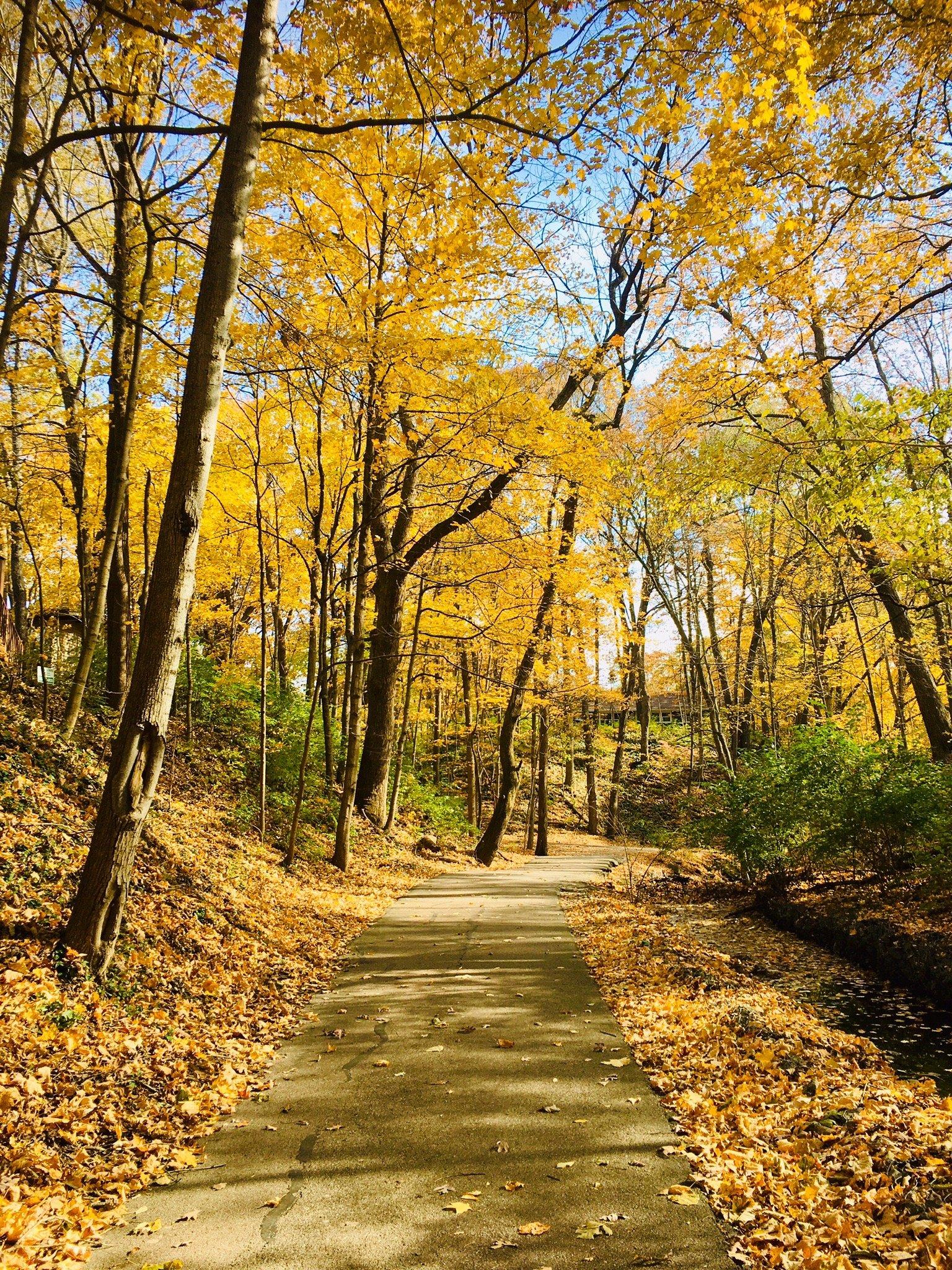 Photo by iSoloTravelGirl