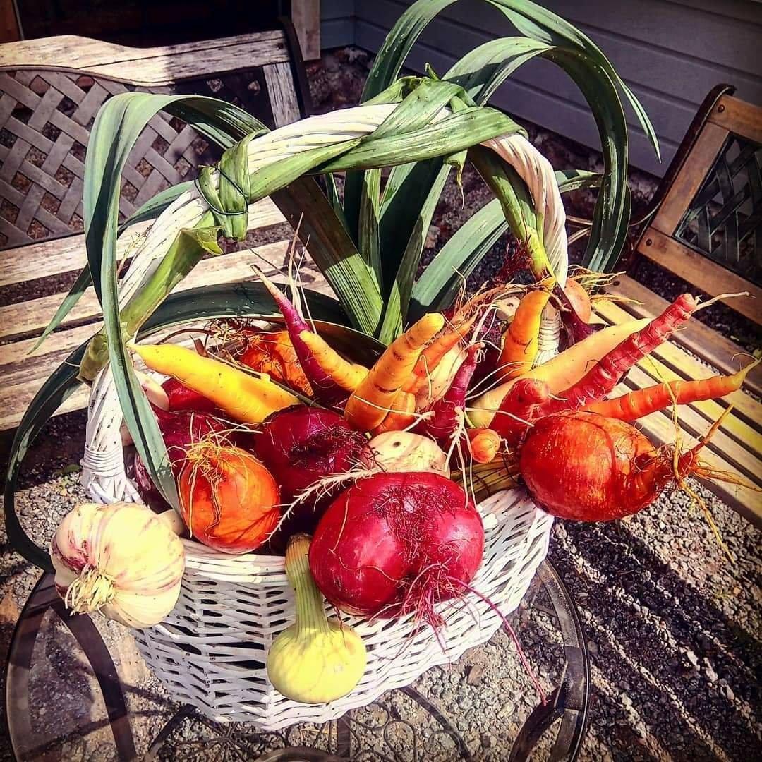 Polkinvuoren Kasvimaailma