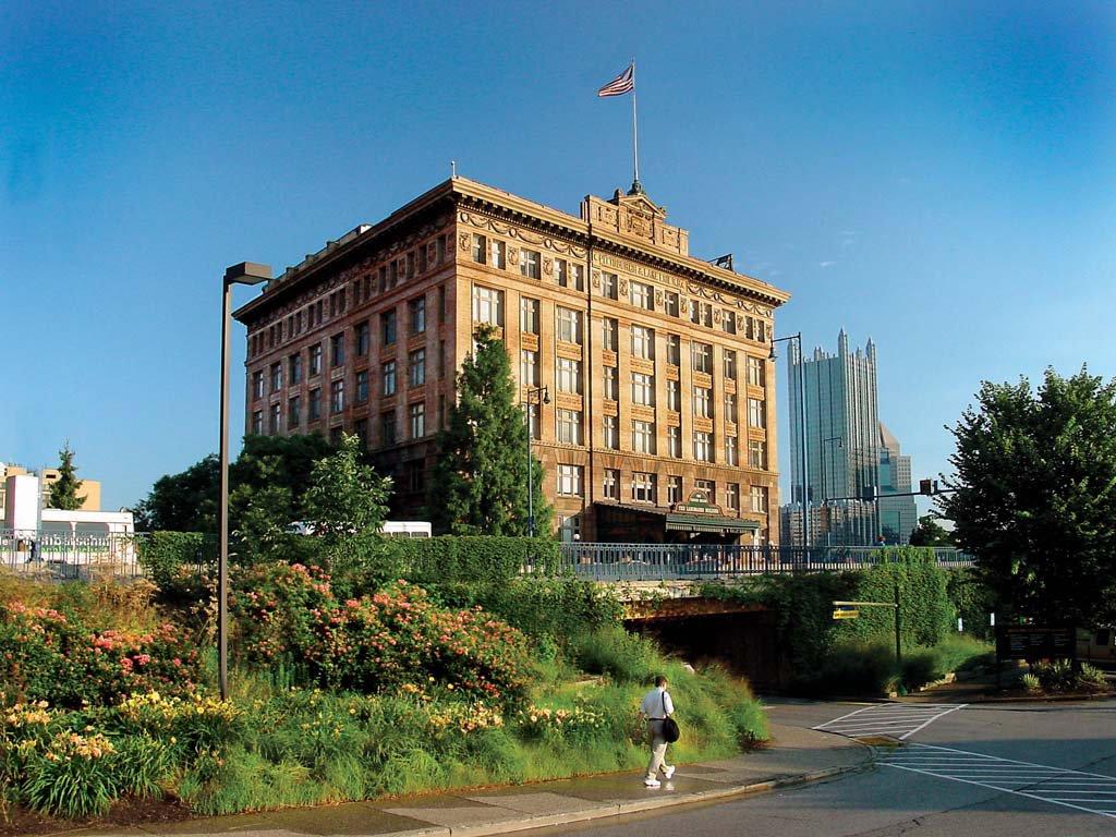 American Liver Foundation