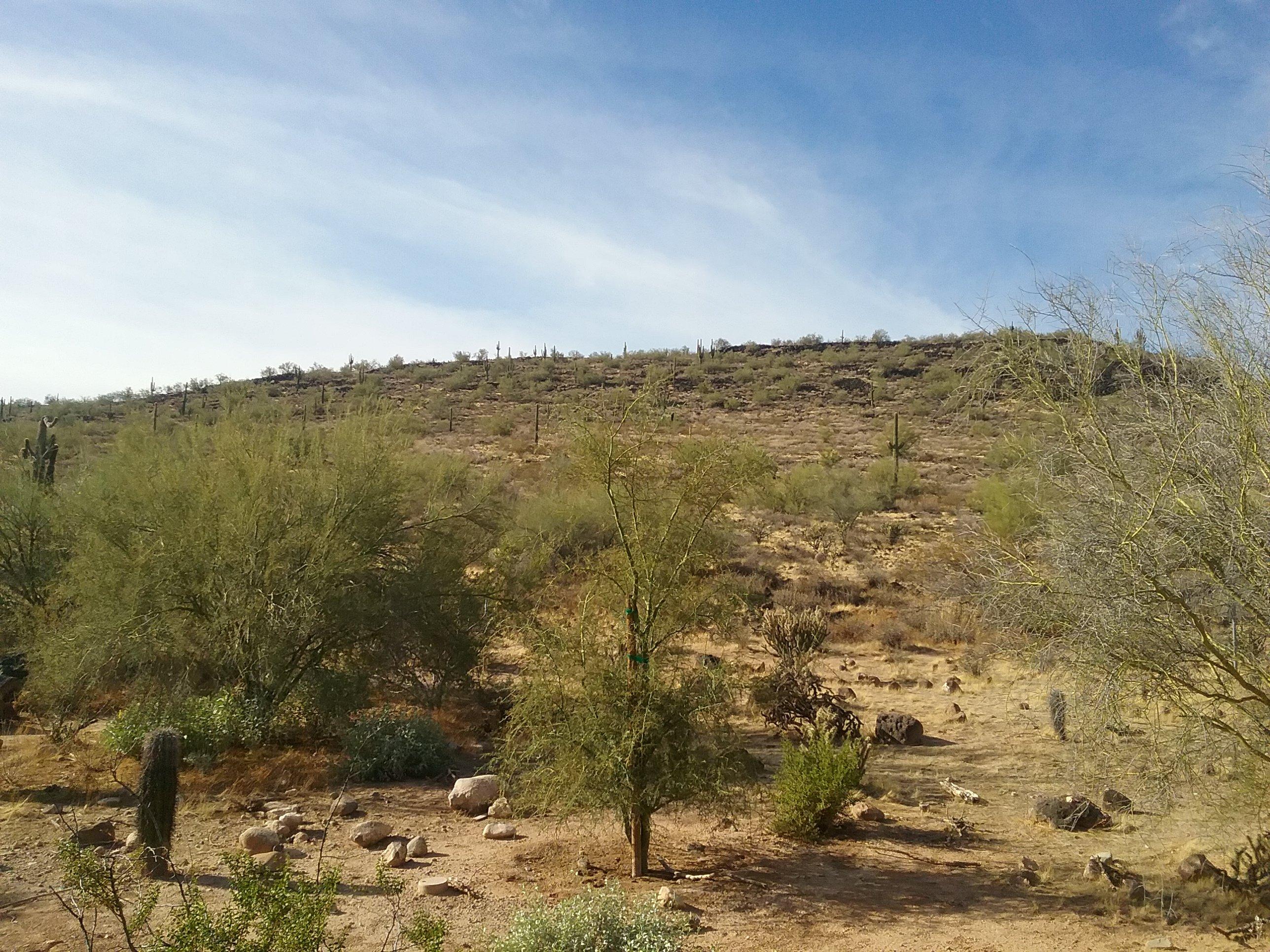 Deem Hills Preserve - East Trailhead