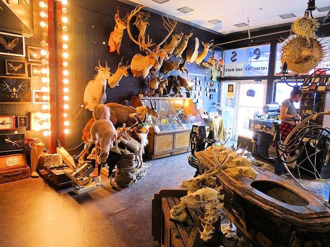 Hail, Dark Aesthetics