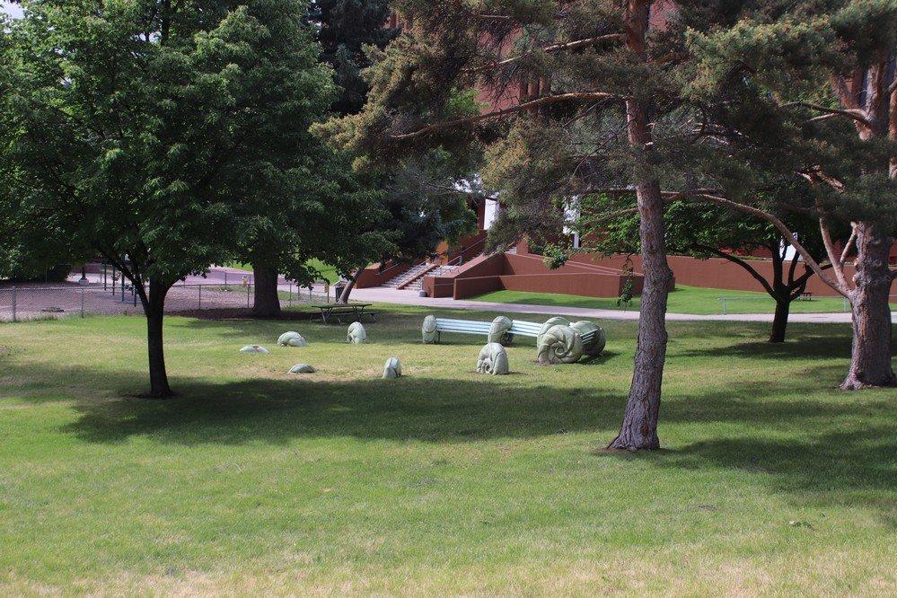 Pioneer Park