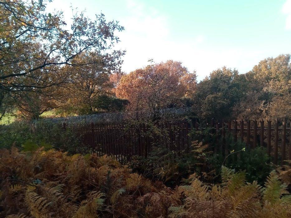 Pex Hill Nature Reserve