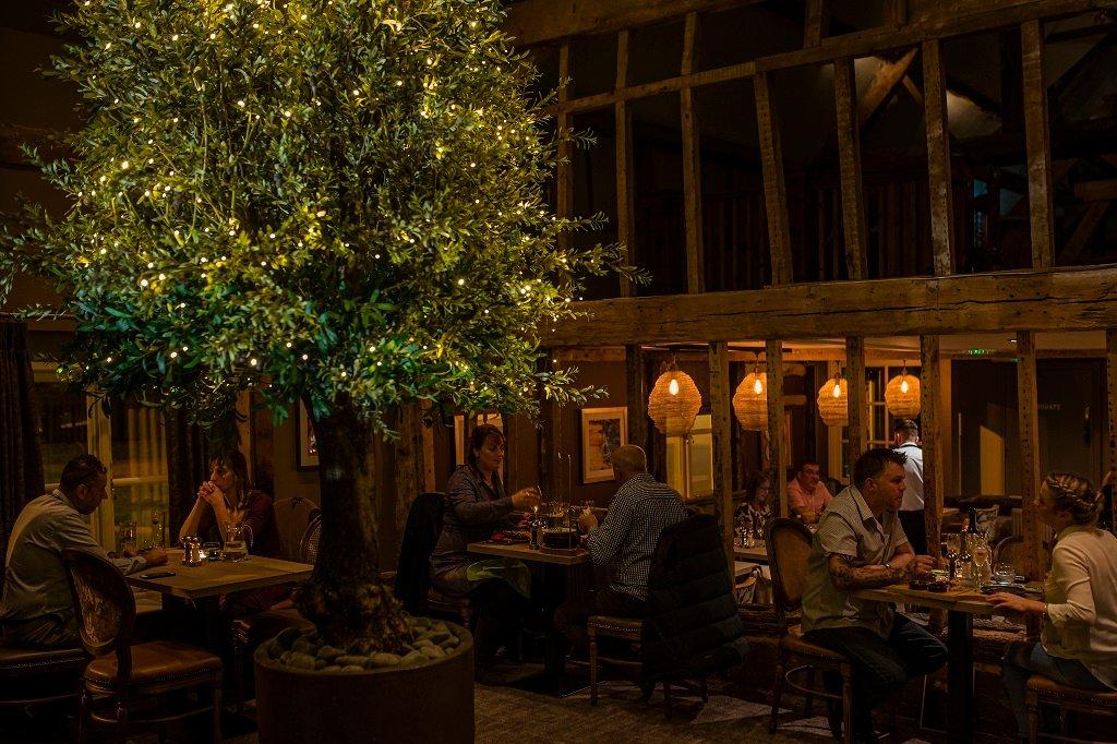 Ego at Manor Farm, Worcester