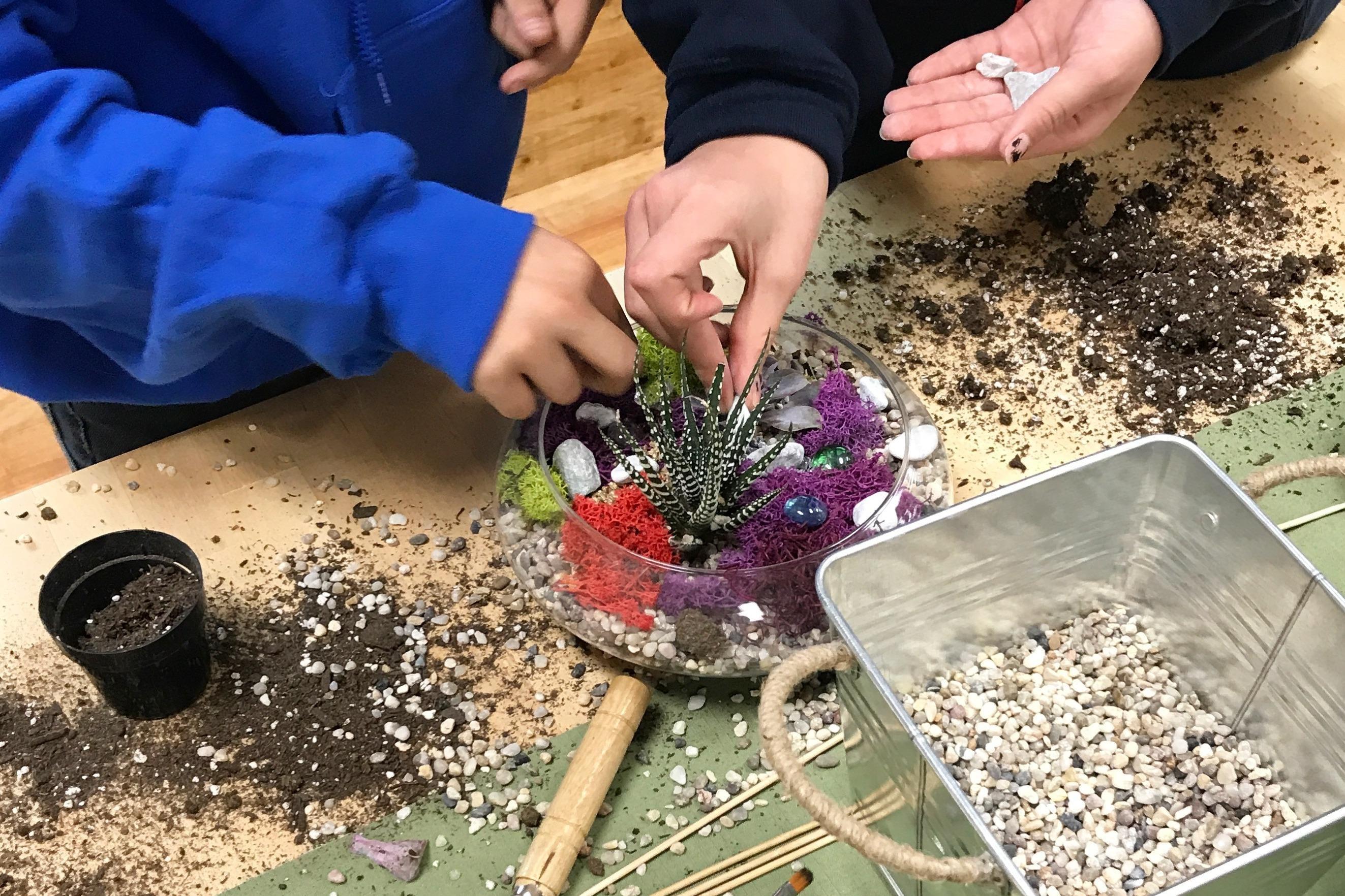 Plant Life Workshops