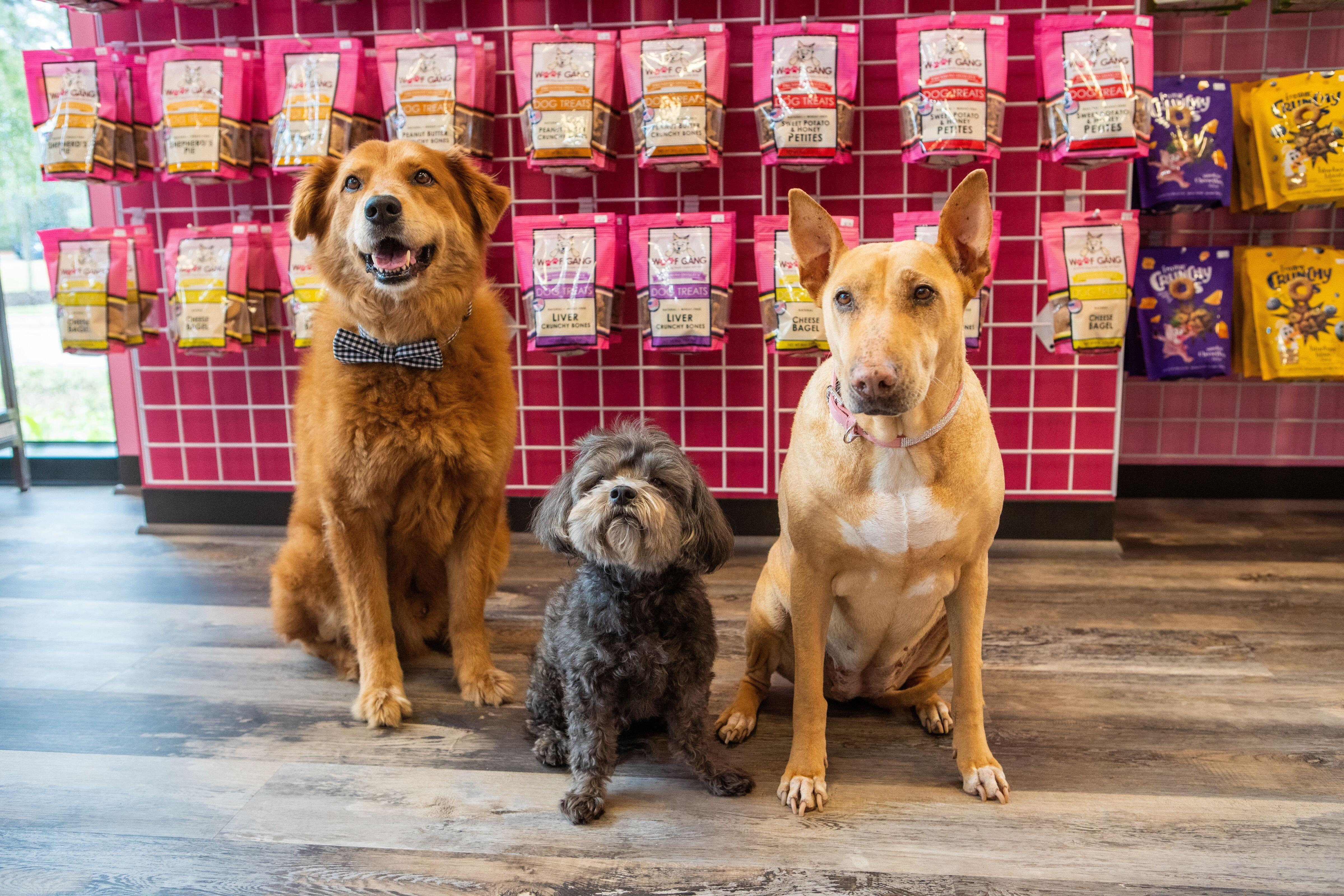 Woof Gang Bakery & Grooming Cocoa Beach