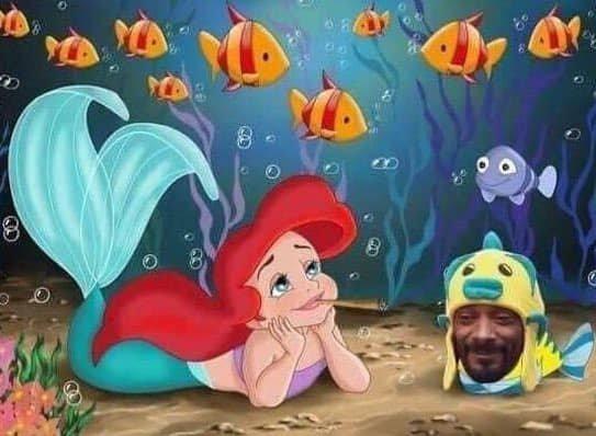 Photo by thrashguppy