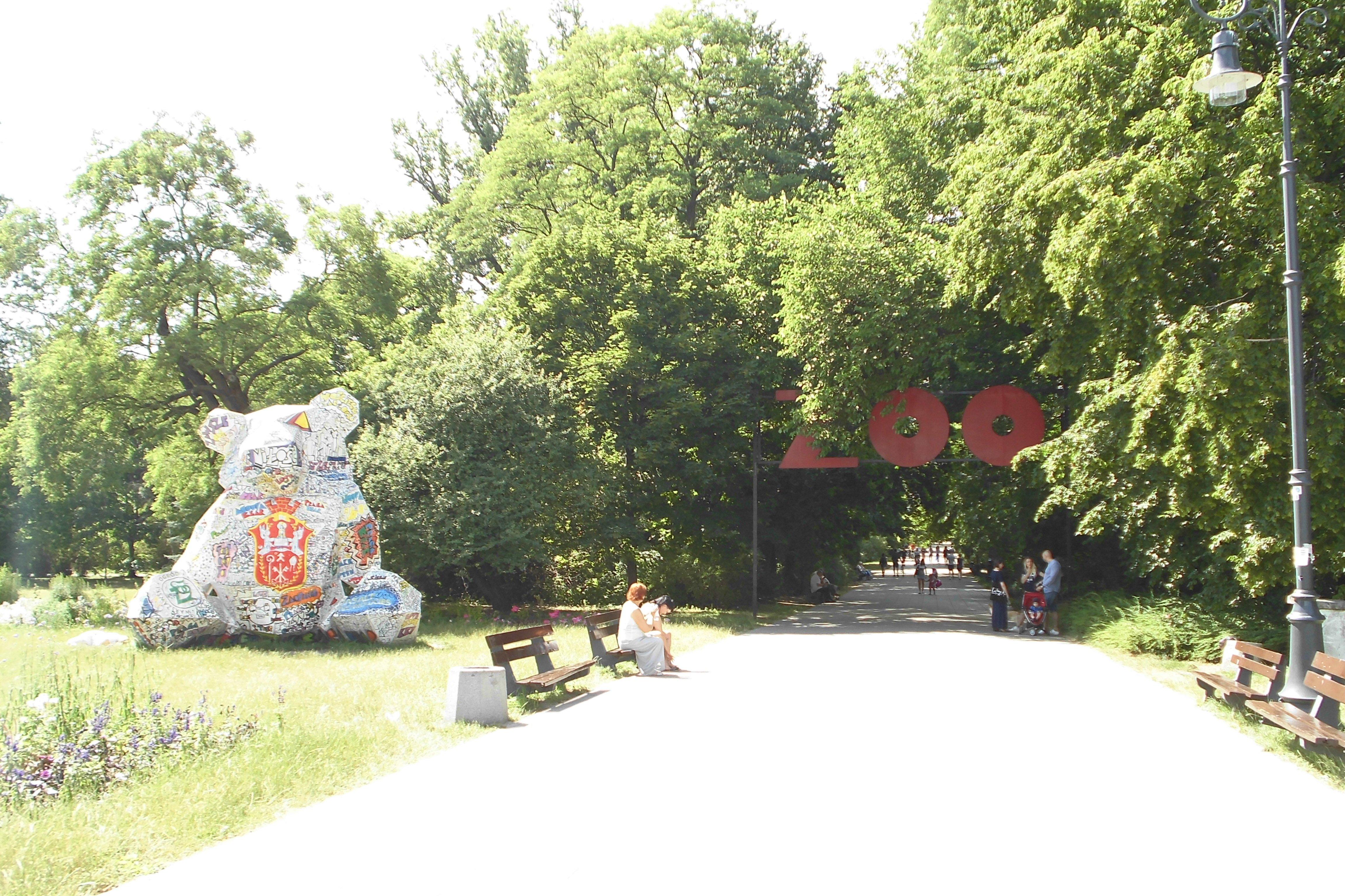 Wybieg niedźwiedzi brunatnych