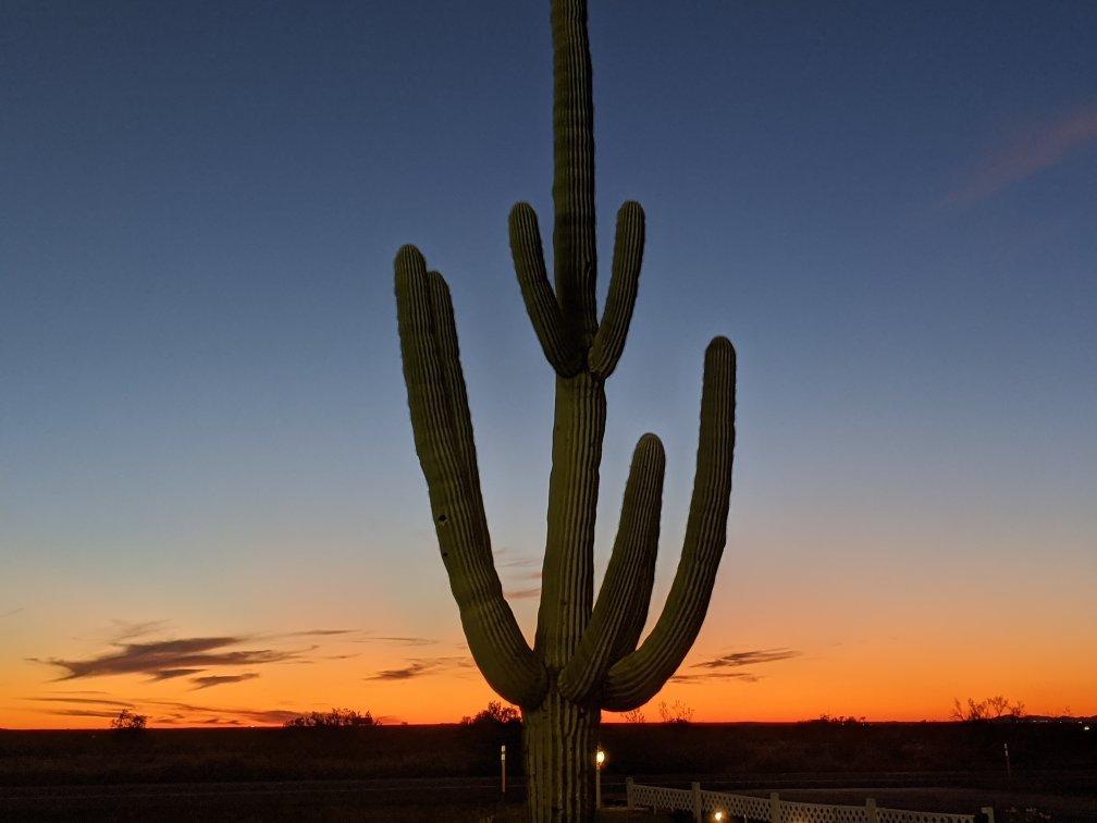 Gila Bend Food Mart
