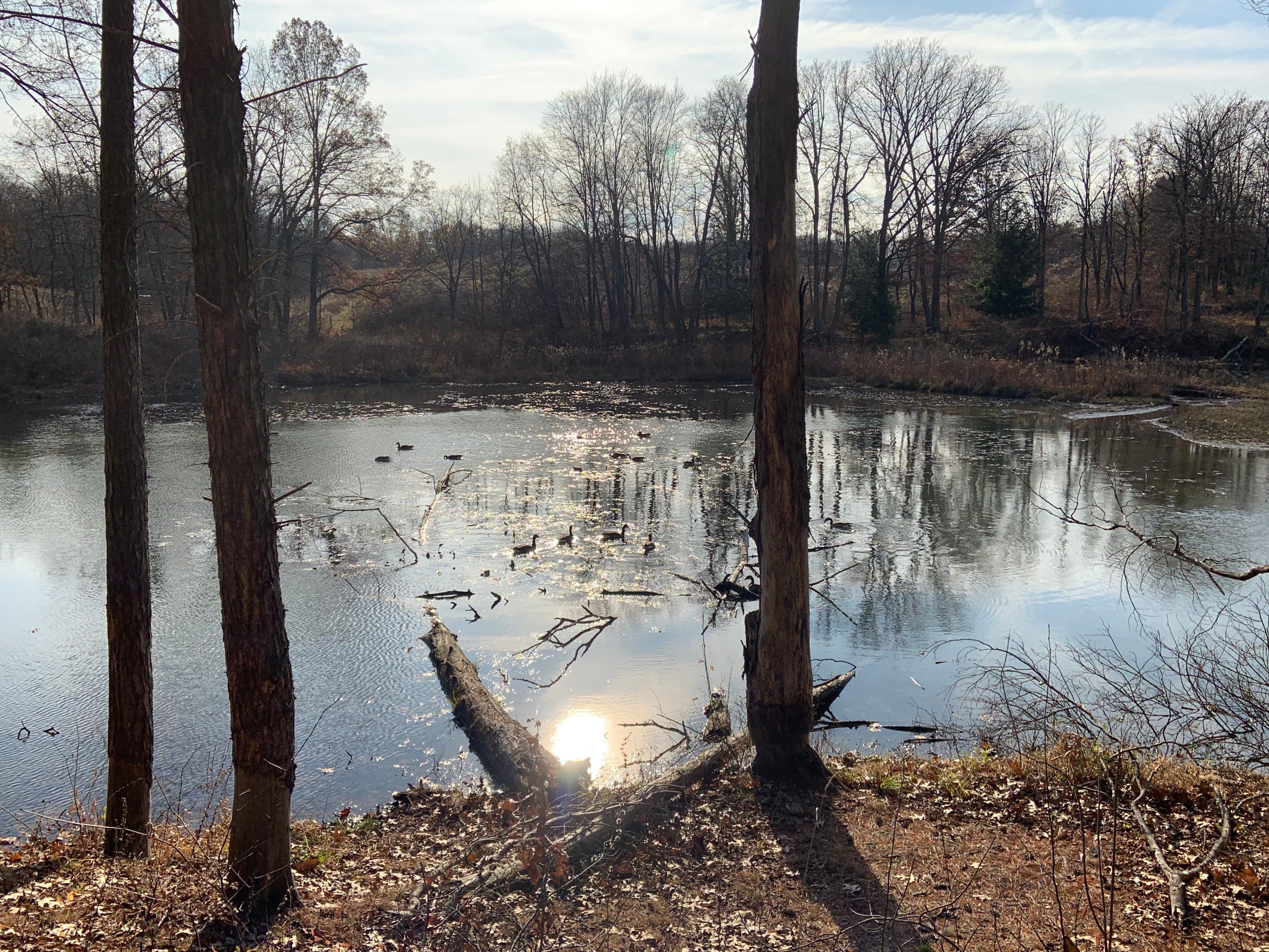 Photo by WiseWomanWanderer