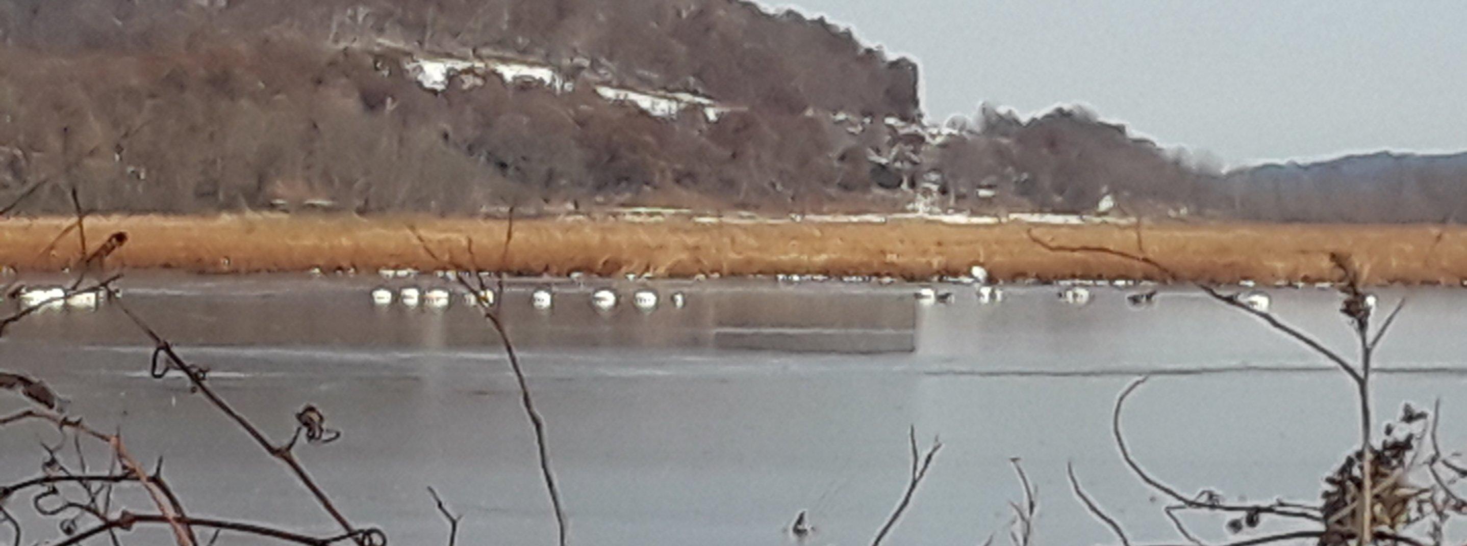 Rieck's Lake Park
