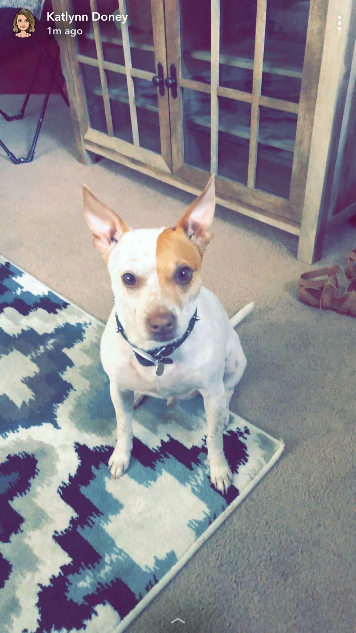 Photo by davidsS1197HJ