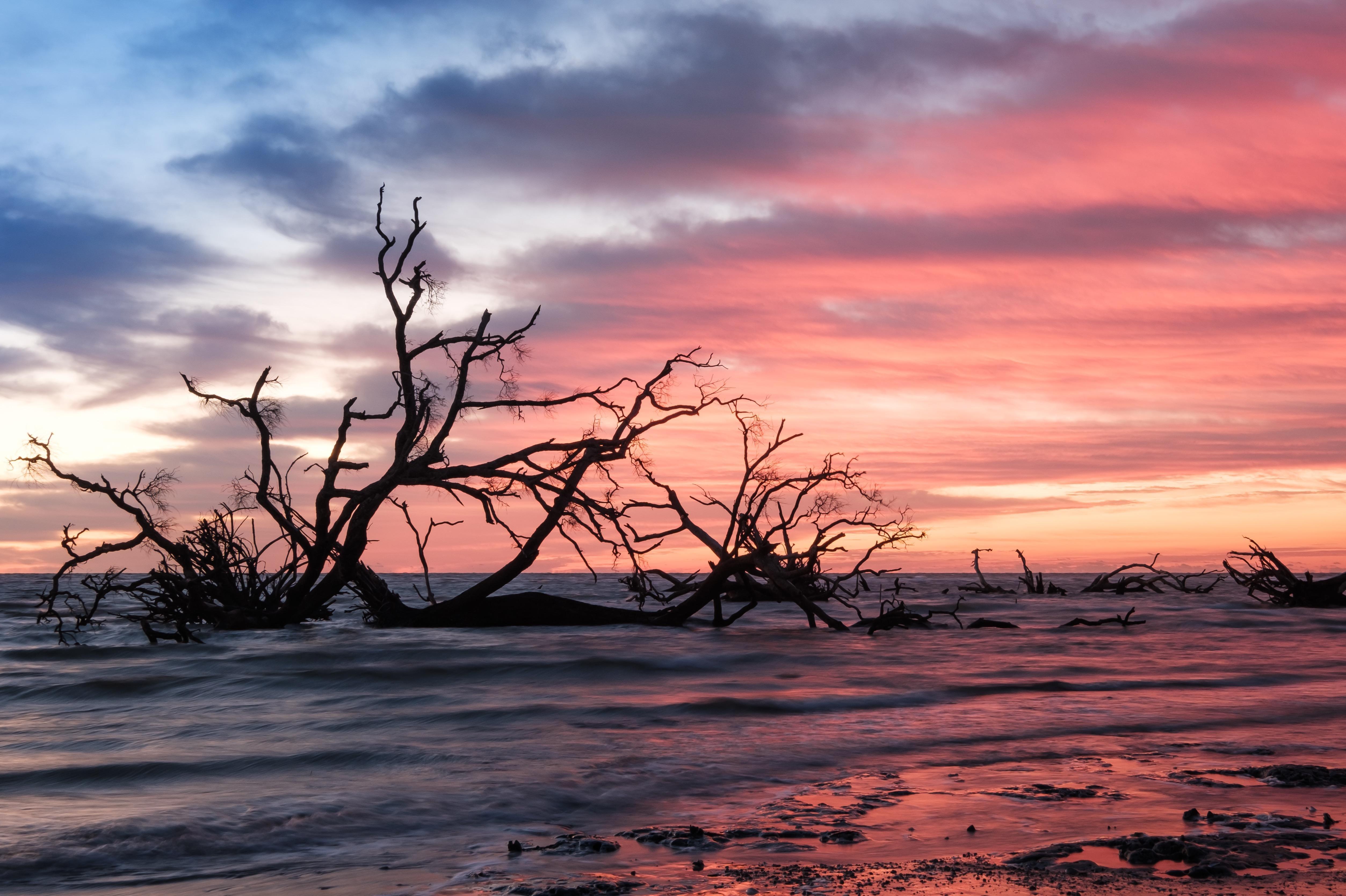 Beaufort Photography Tours
