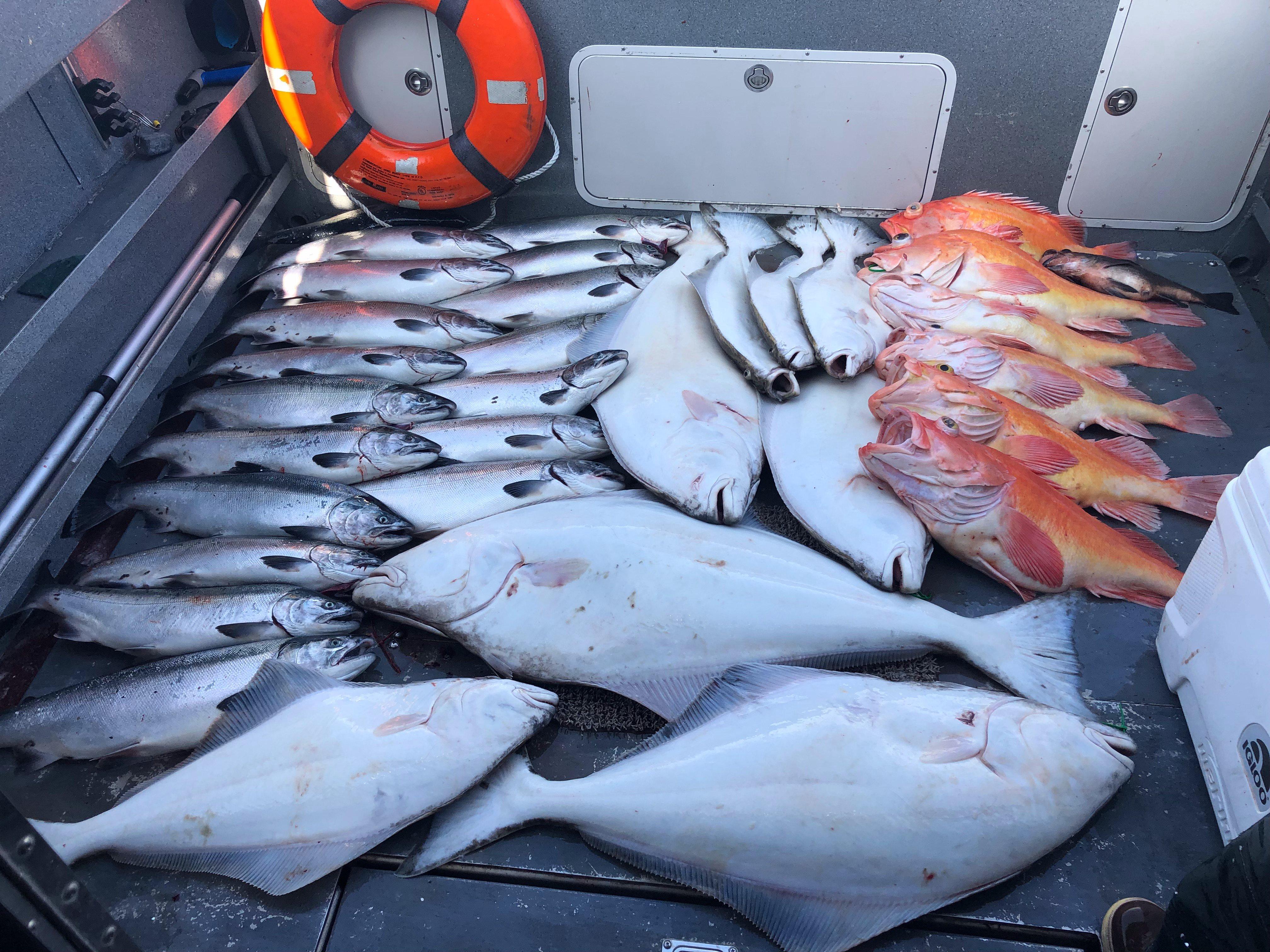 Saltwater Excursions