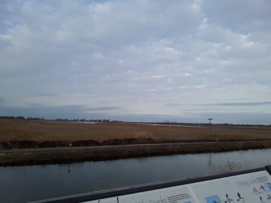 Photo by witchbroomstick