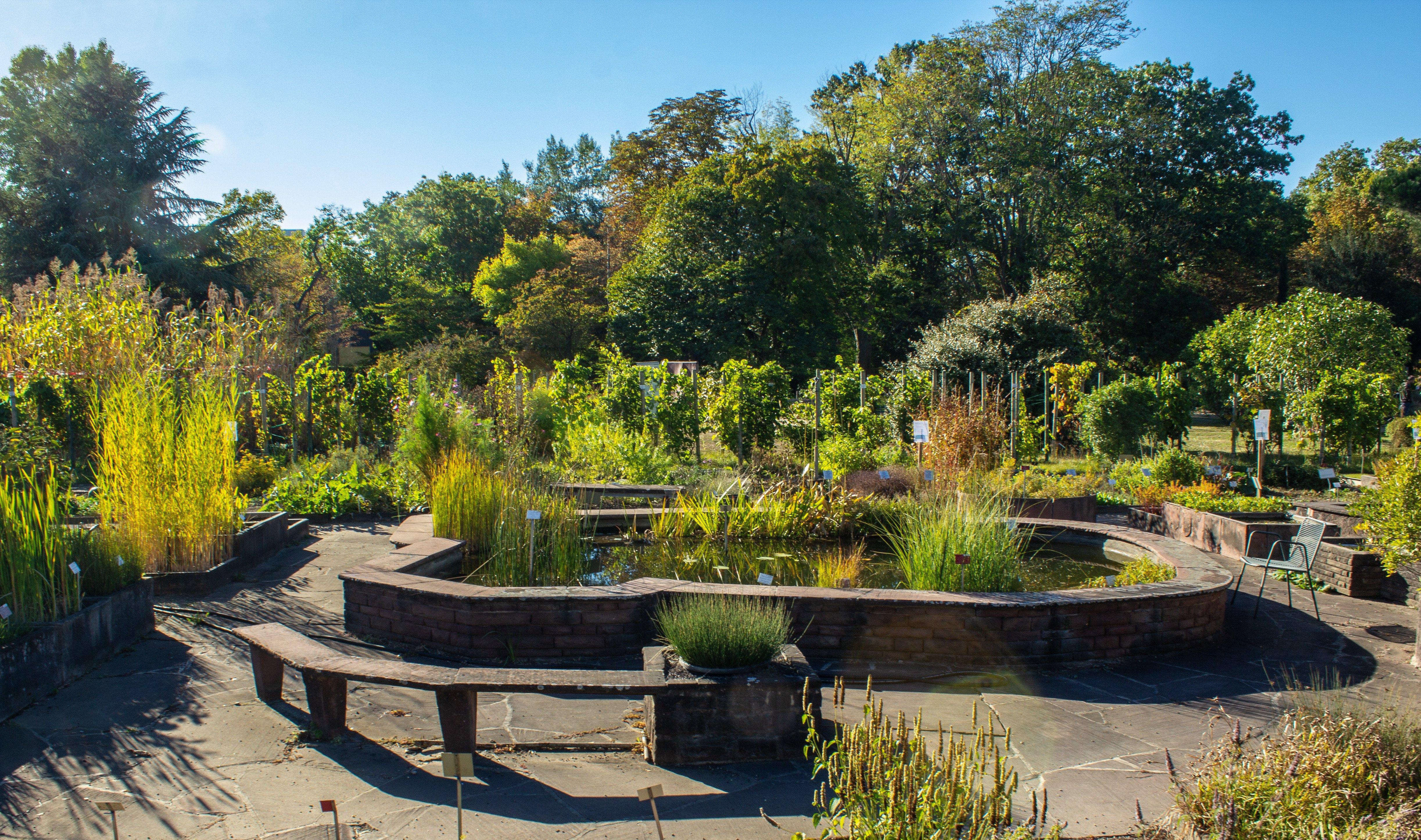Botanischer Garten des KIT