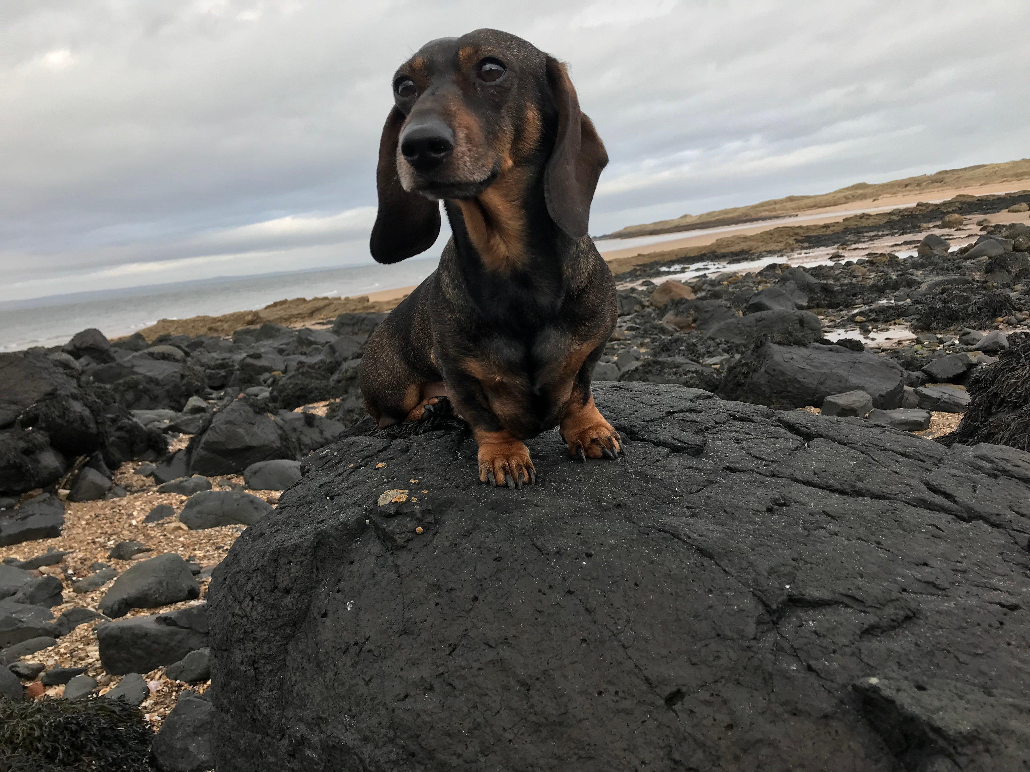 Martin's Guest House