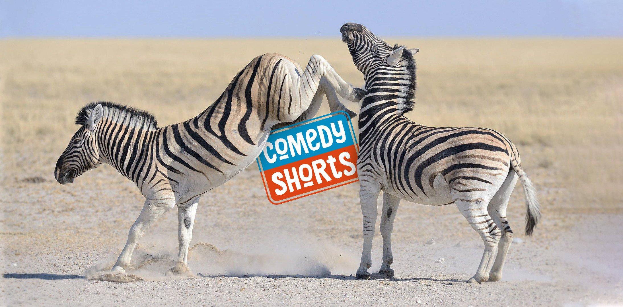 ComedyShorts Berlin