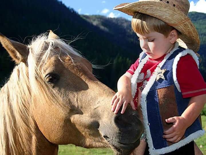 Tana del ghiro La Fattoria Didattica