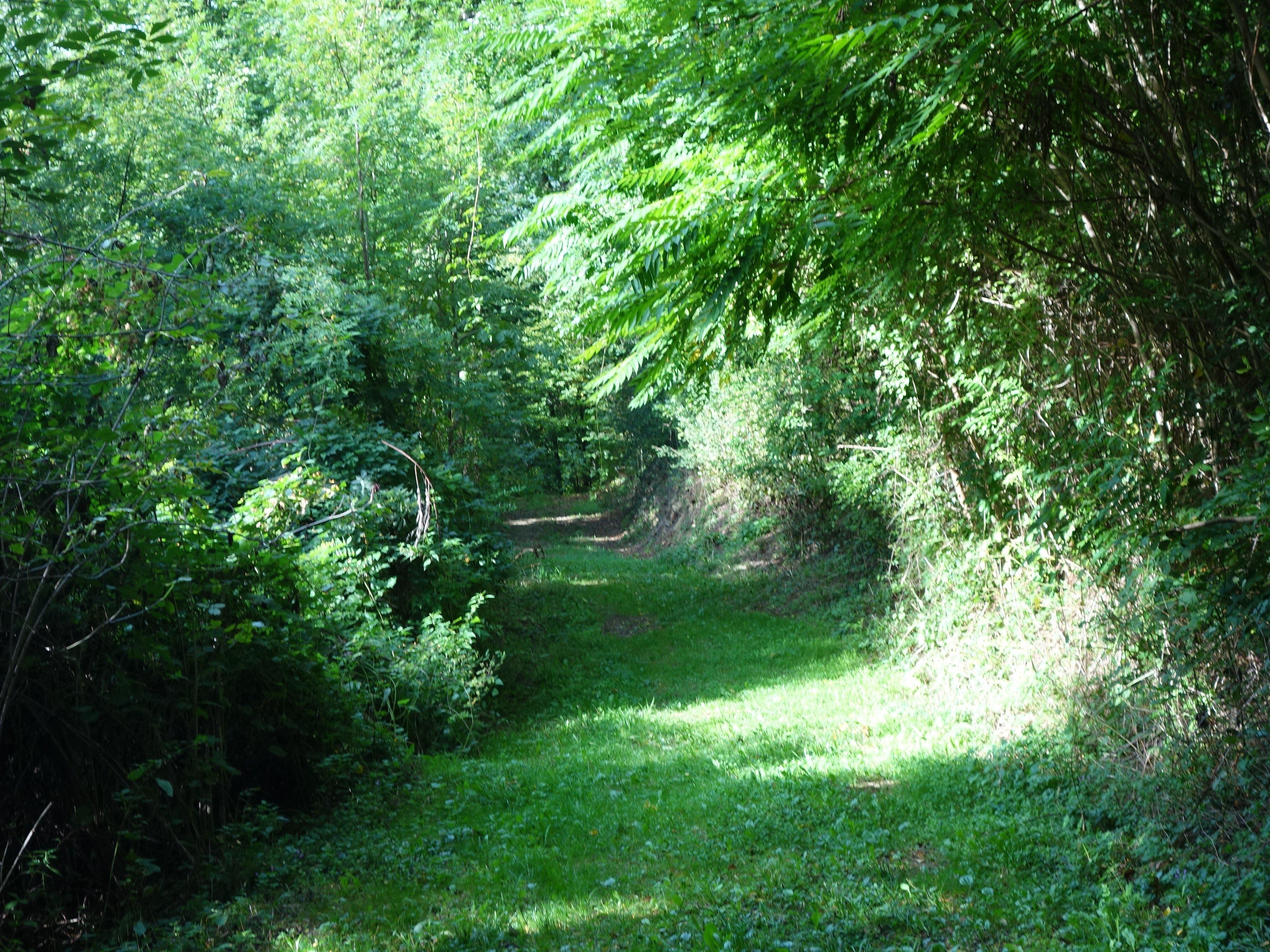Tourismusverband Region Bad Gleichenberg