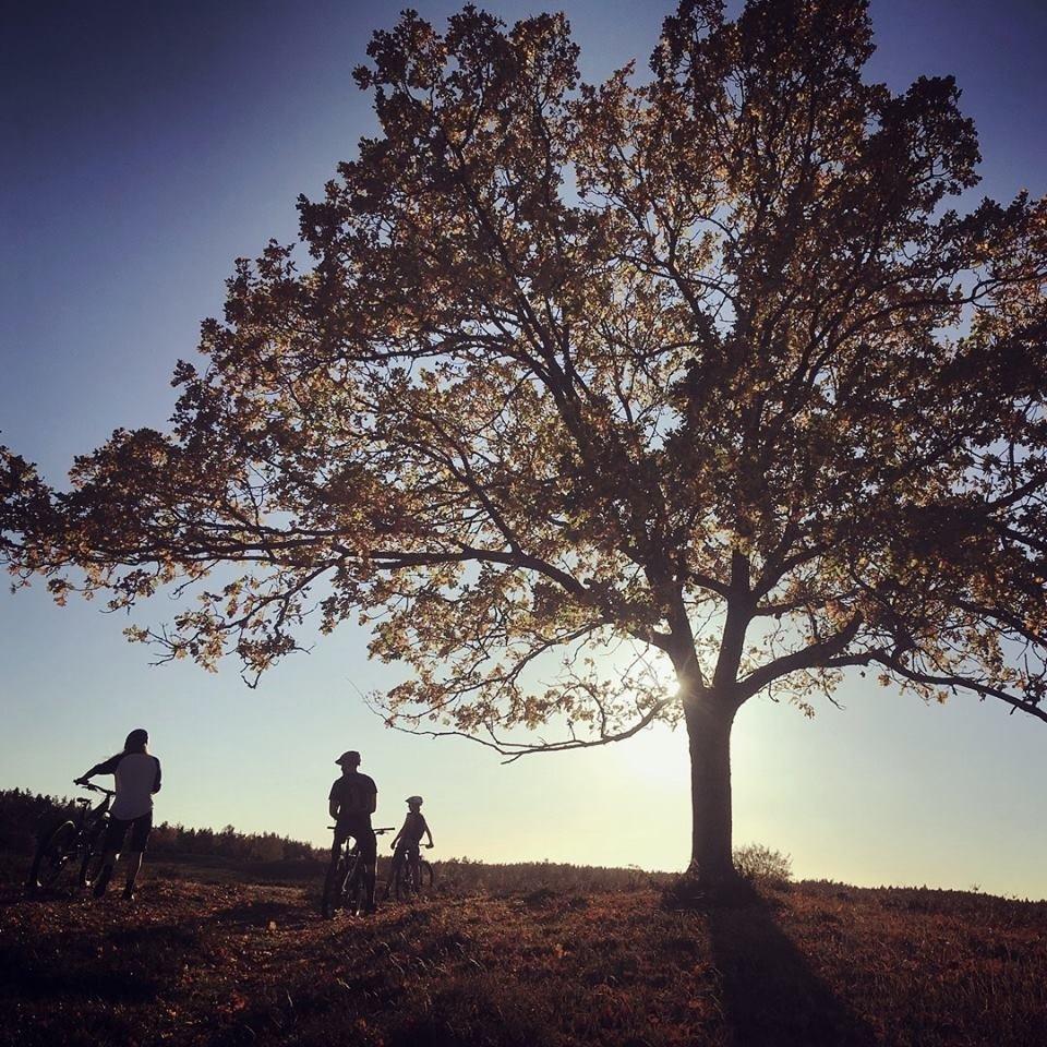 Jordnara upplevelser