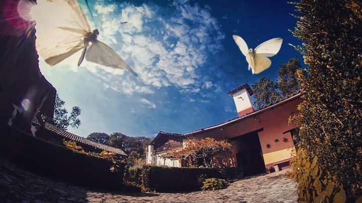 Rancho Coyotepec Hospedaje