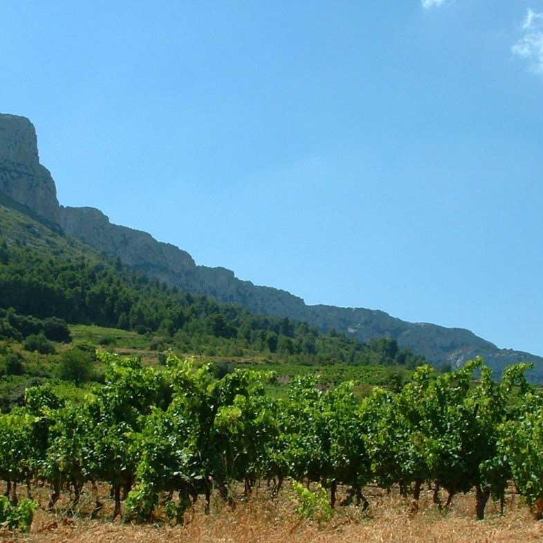 domaine vents du sud