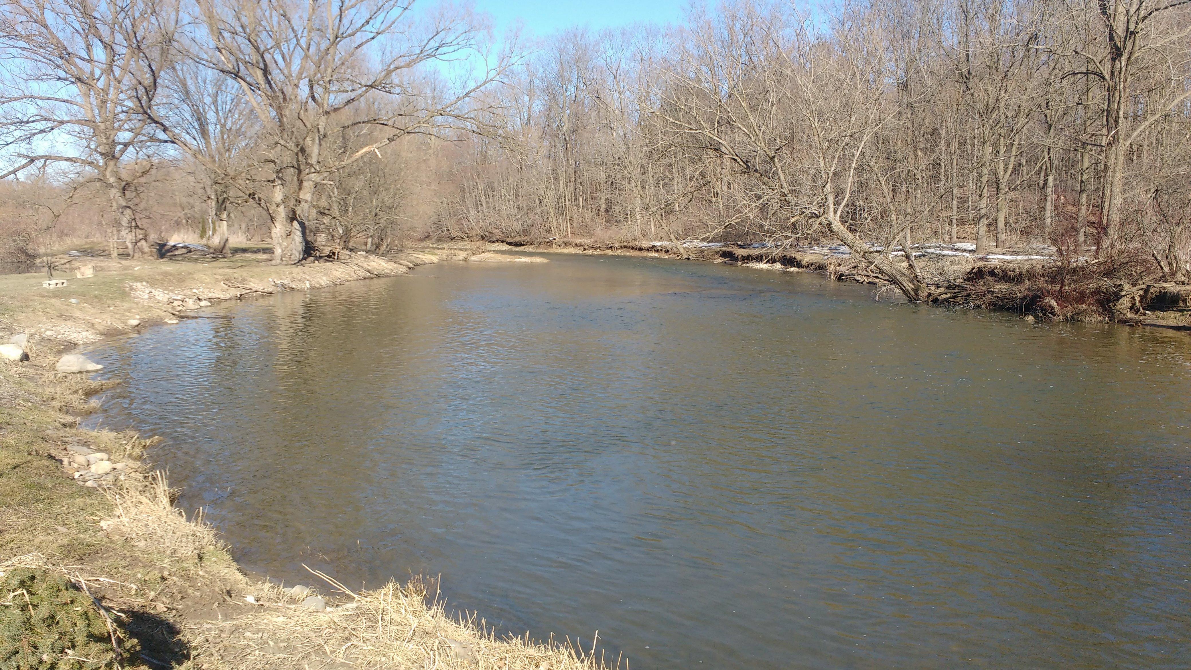 Ponderosa Campground
