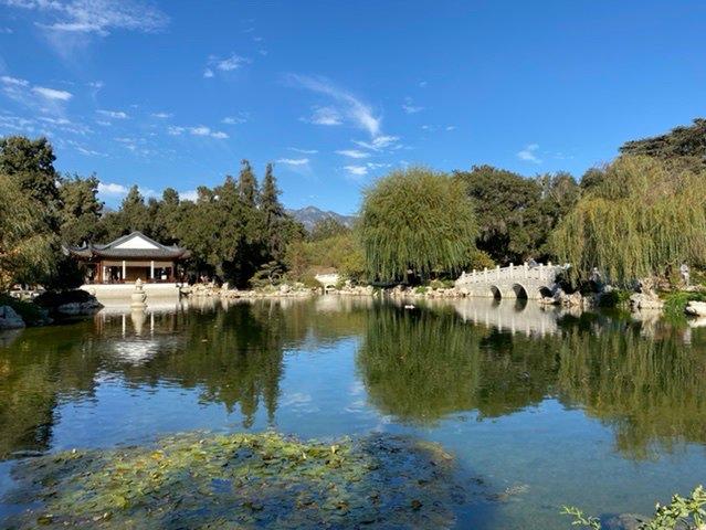 The Chinese Tea House