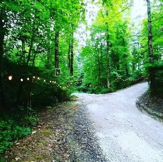 Photo by L2537WBmichaela