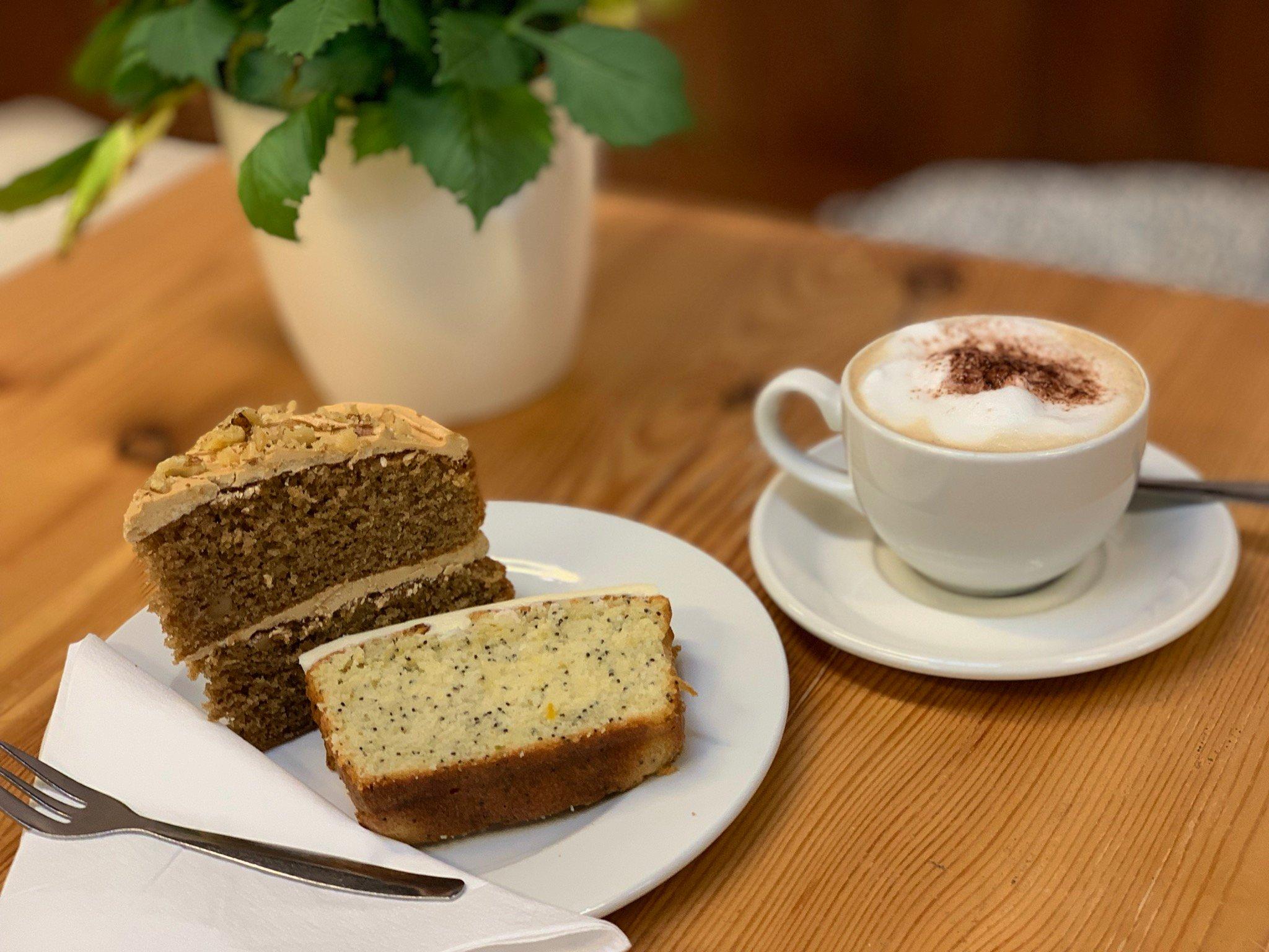 The Old Moat Garden Centre