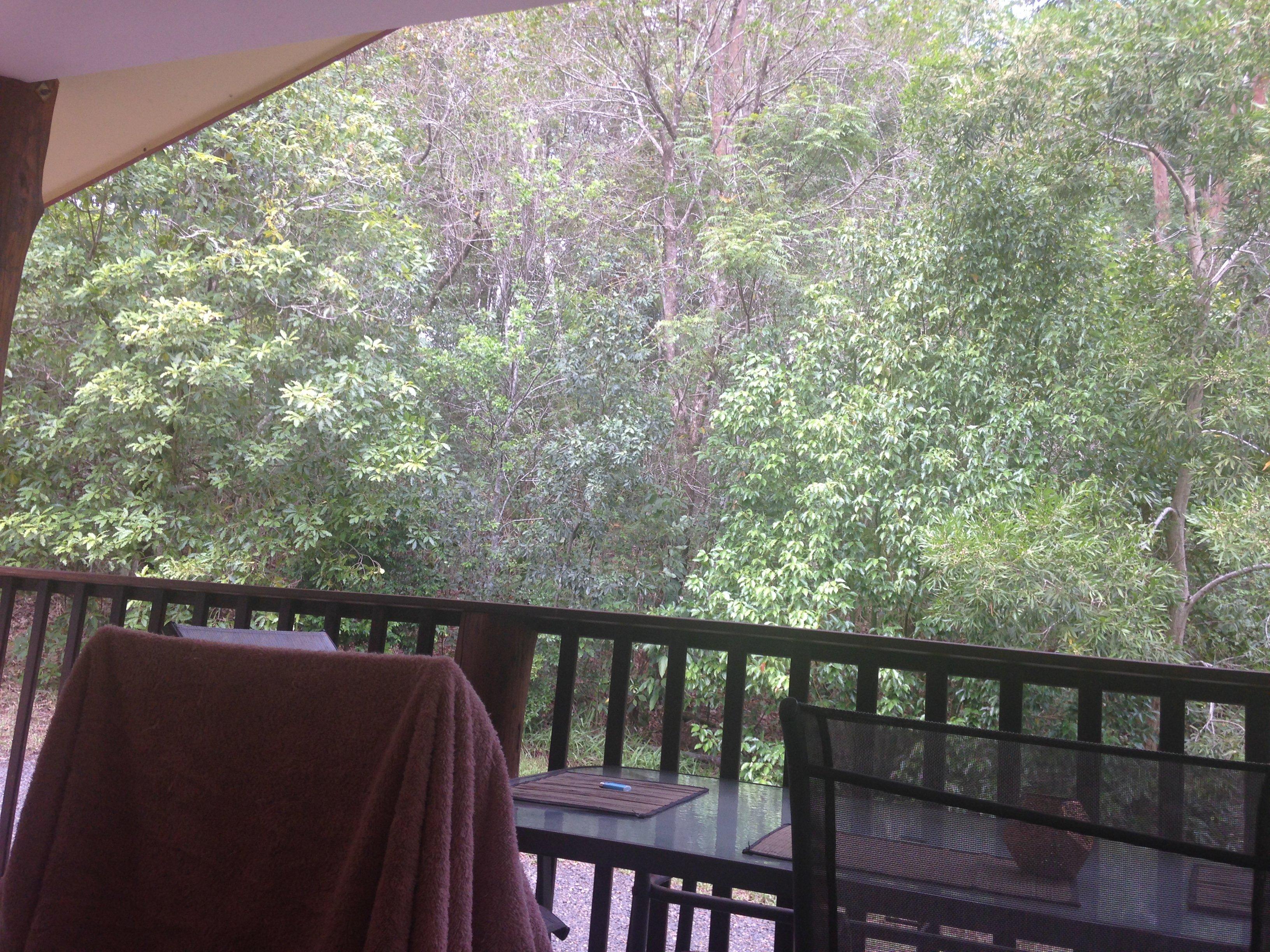 Teretre Cabins Nimbin