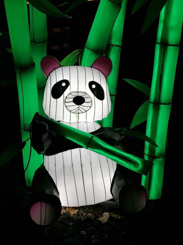 Festival Des Lumieres Celestes