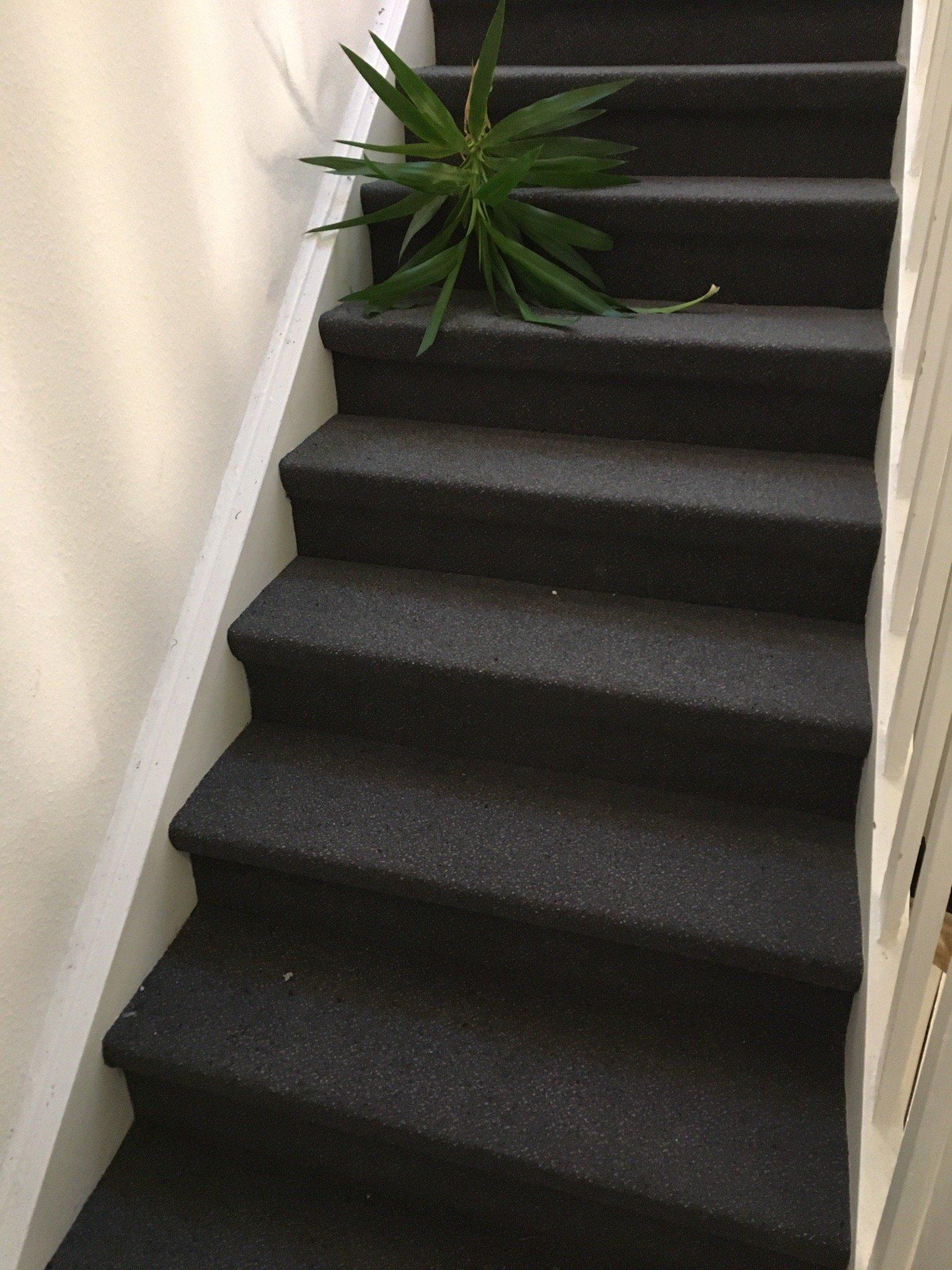 Dingdong Bonn - City Apartments