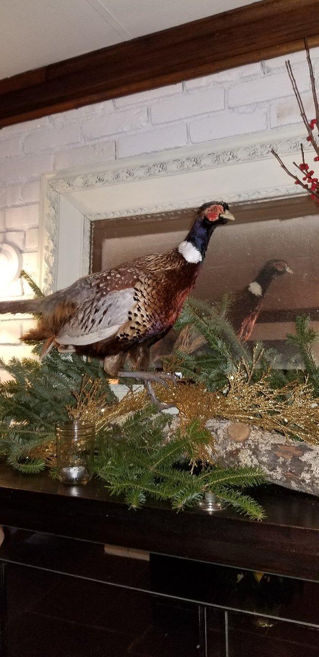 Western Bar, Supper Club & Inn