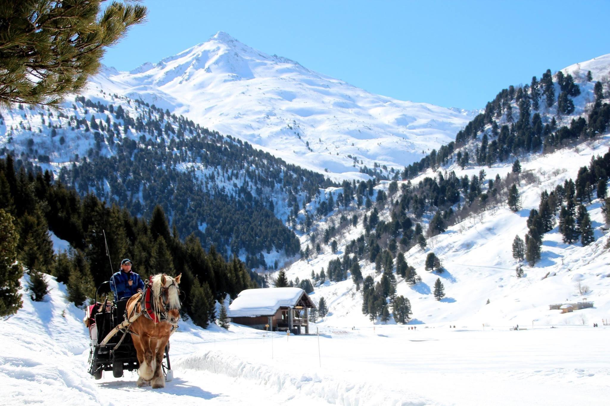 Les Attelages Molinas