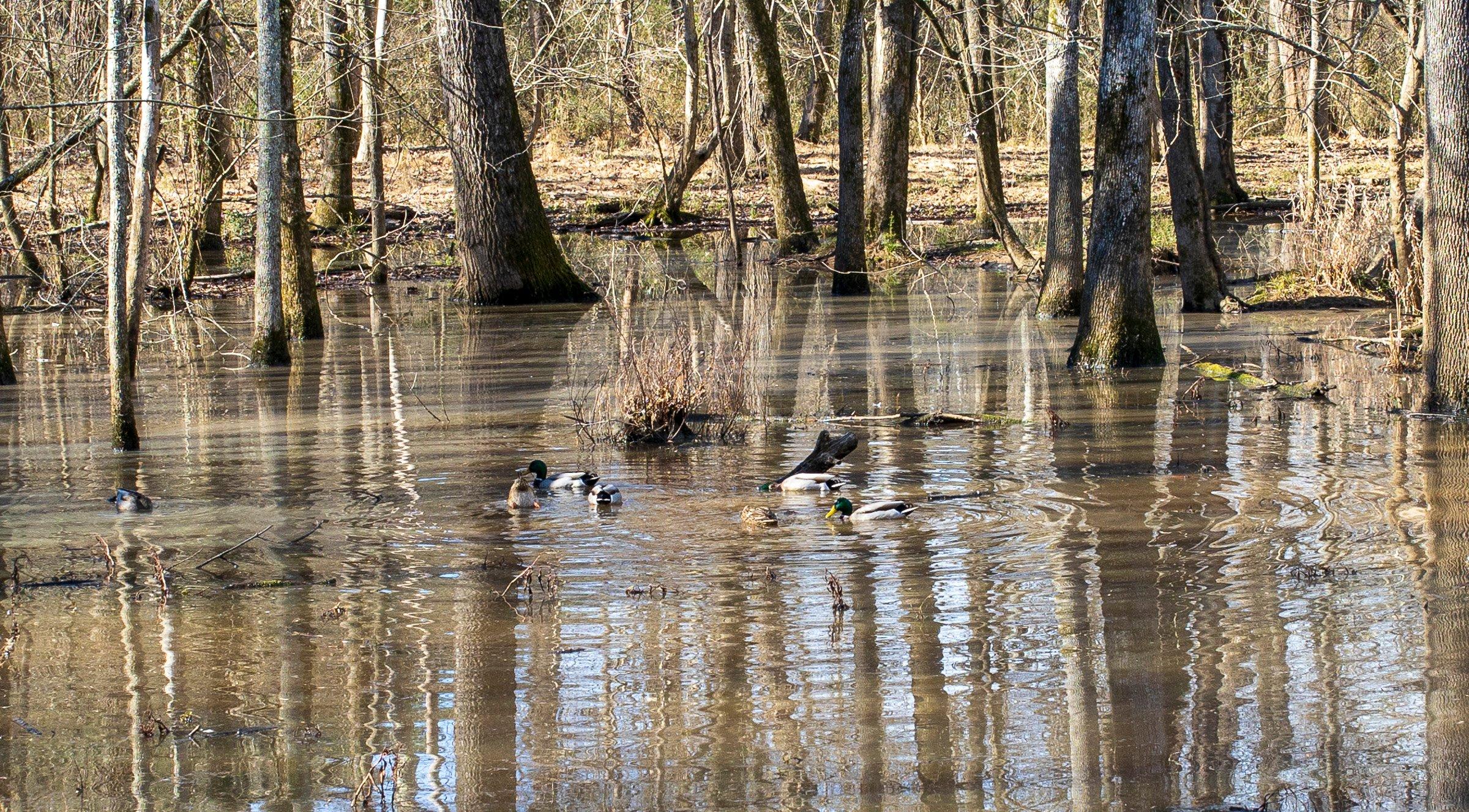 Colonel Francis Beatty Park