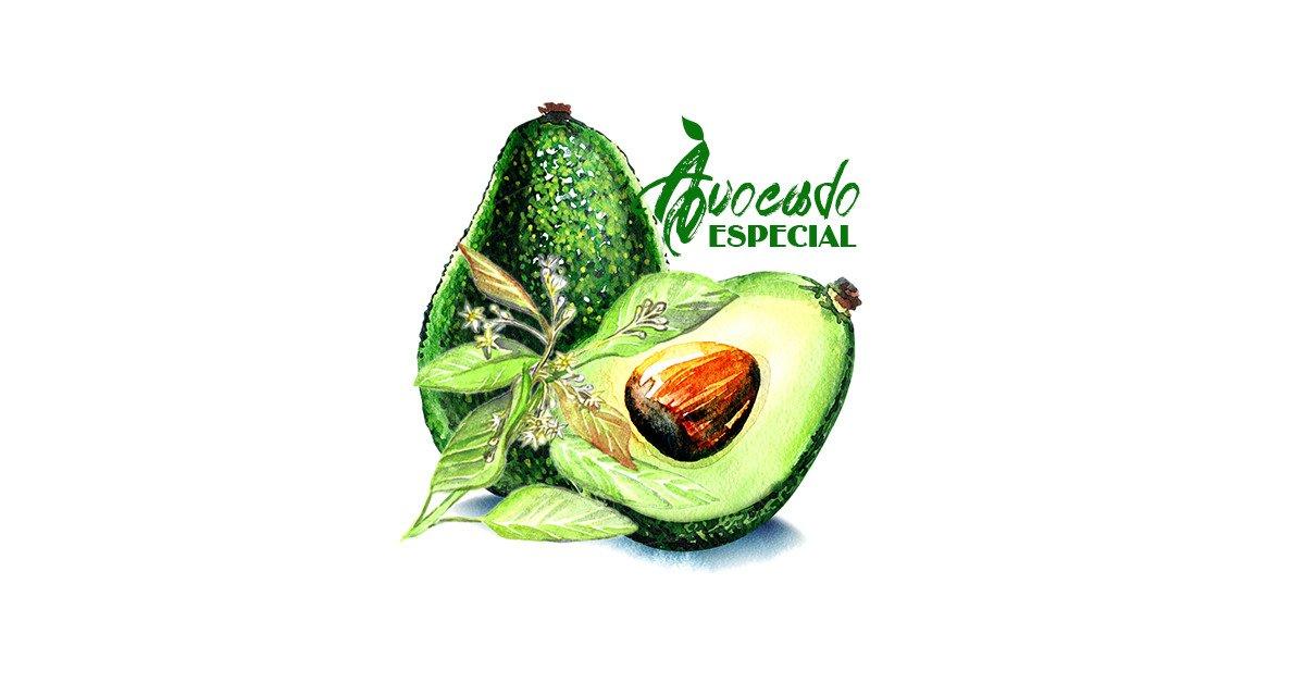 Avocado Especial