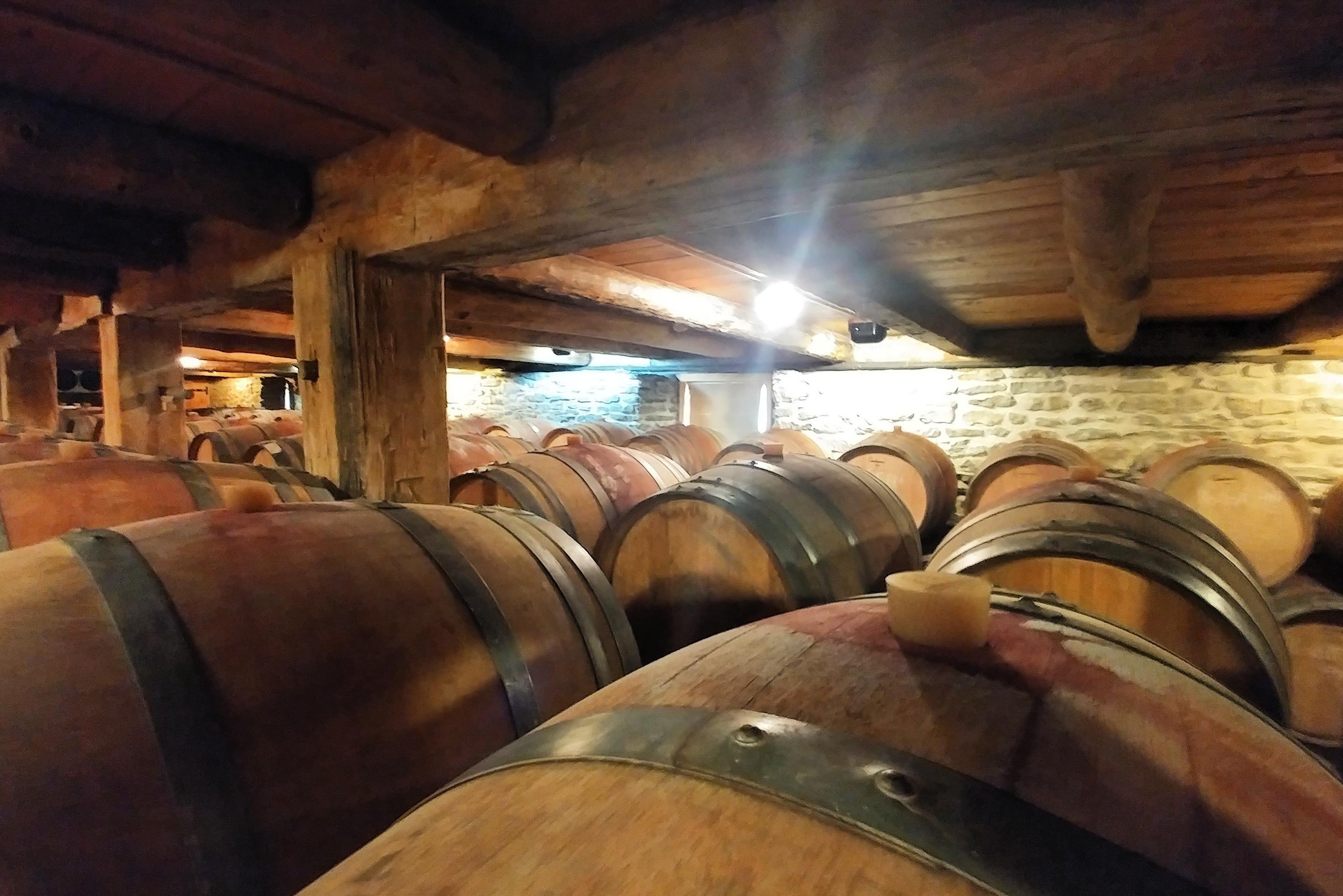 My County Wine Tours