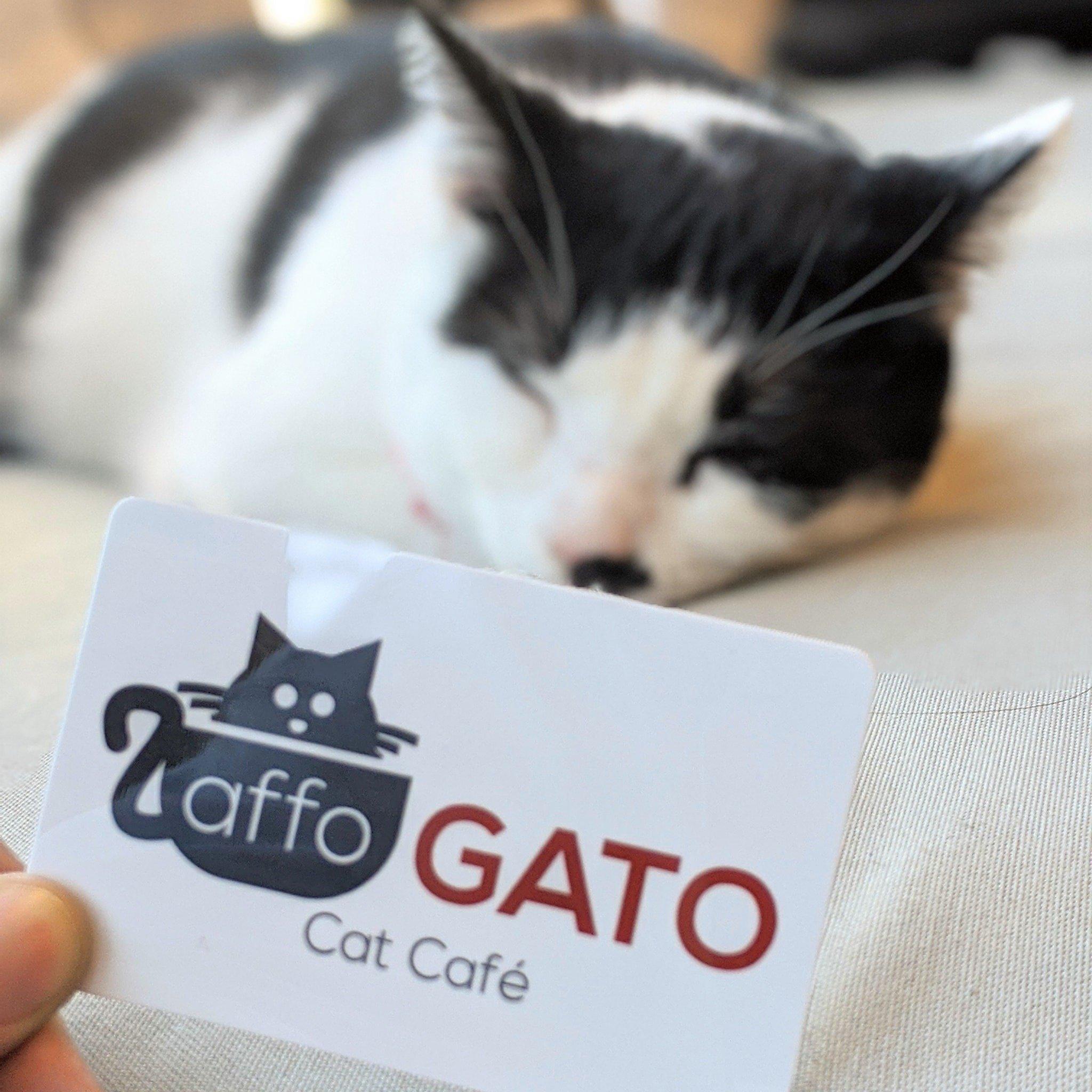 affoGATO Cat Café
