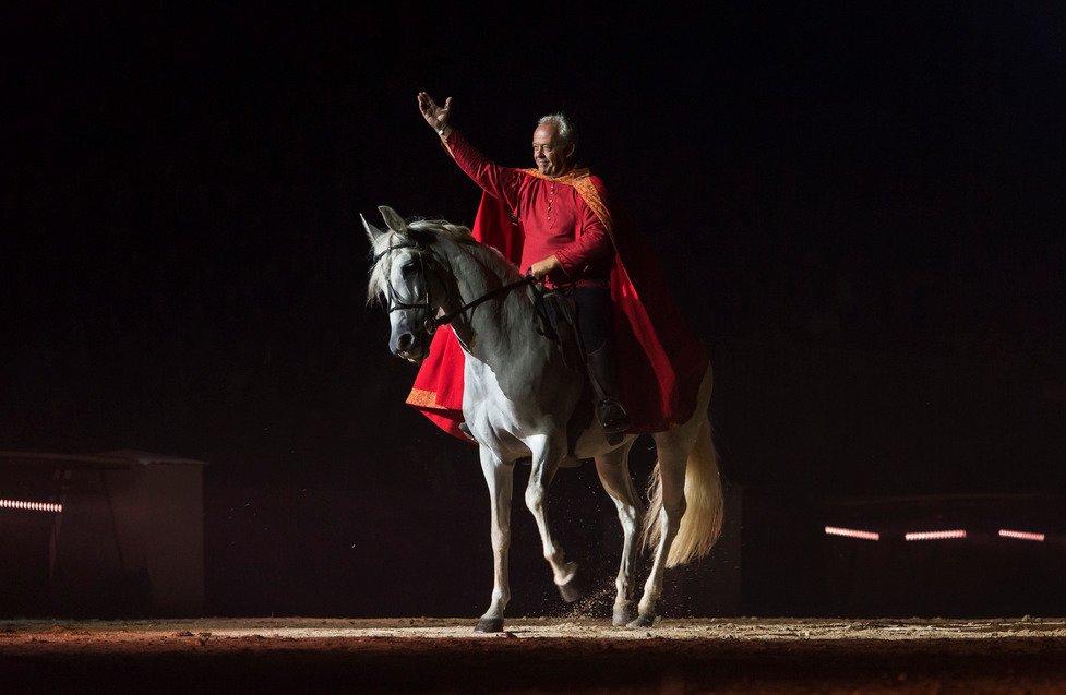 La Bataille de Castillon