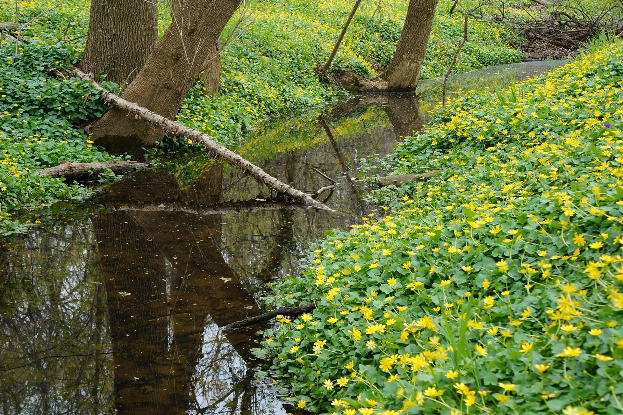 Photo by jinxminx888