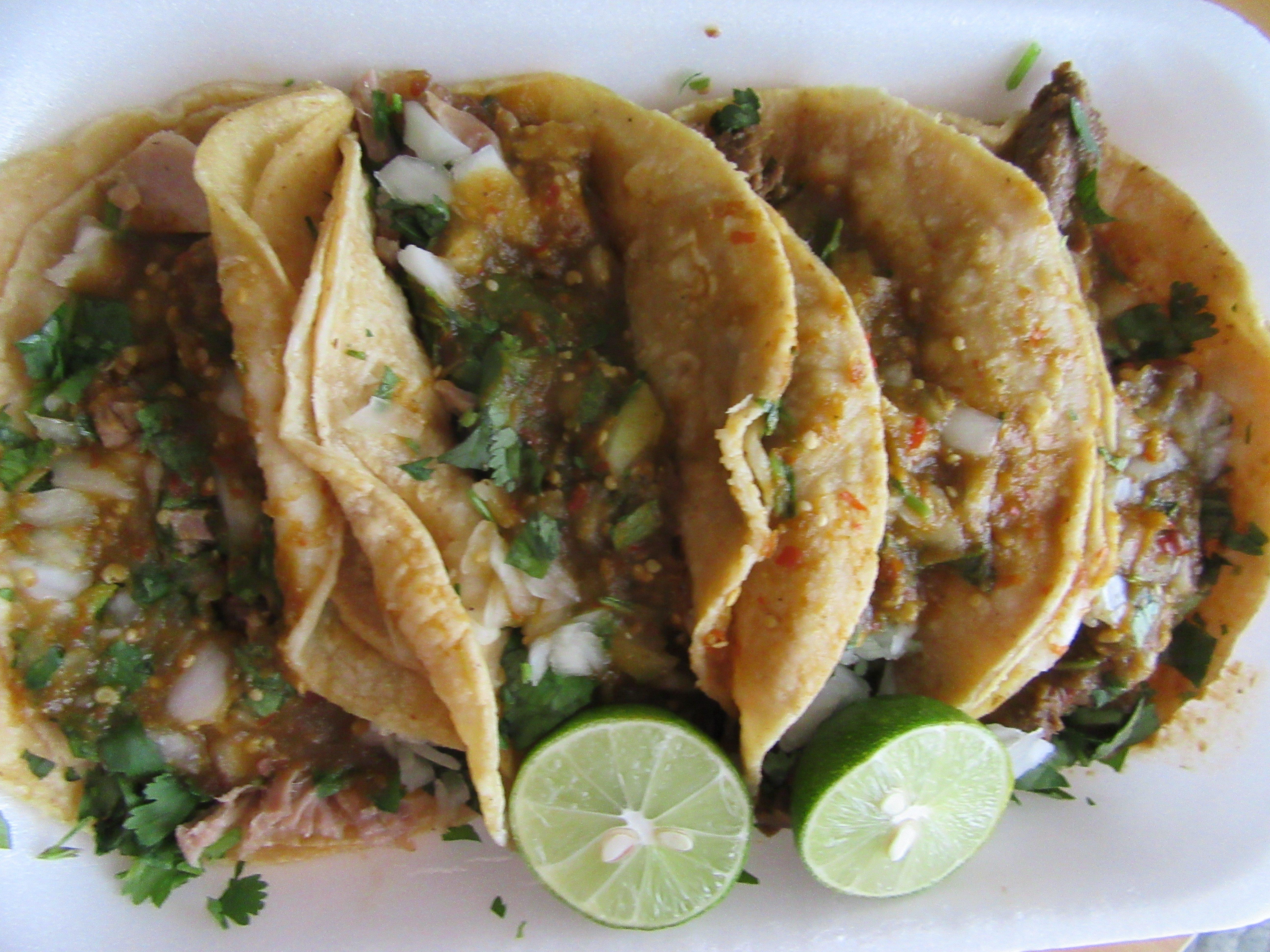 Photo by SeminarTrekker