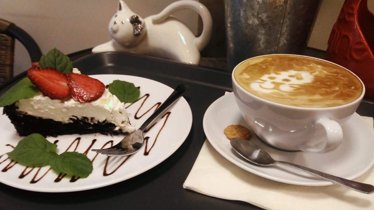 Bialy Kot (White Cat) Cat Cafe