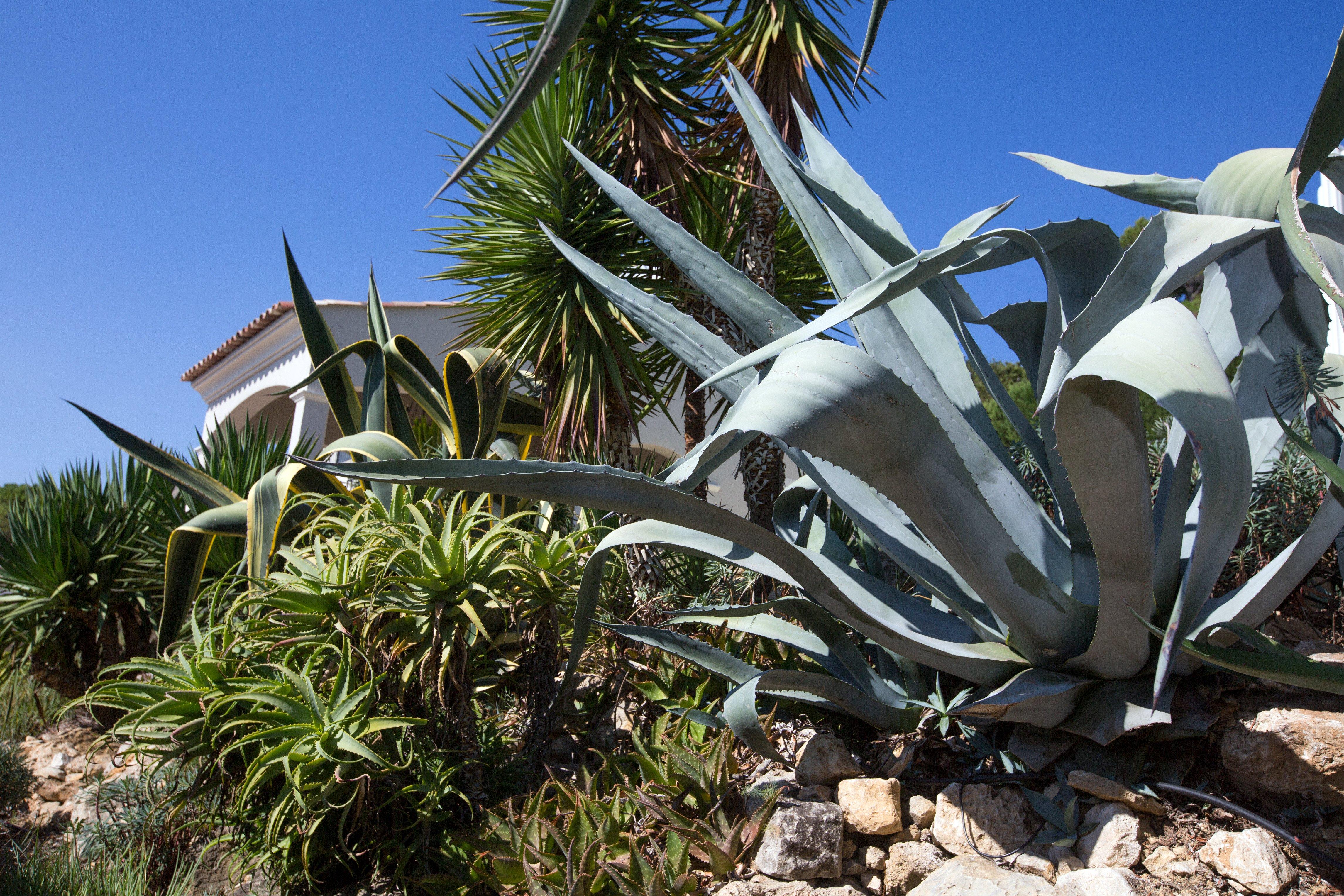 Bed And Breakfast In Mougins By Villa Stéphanie